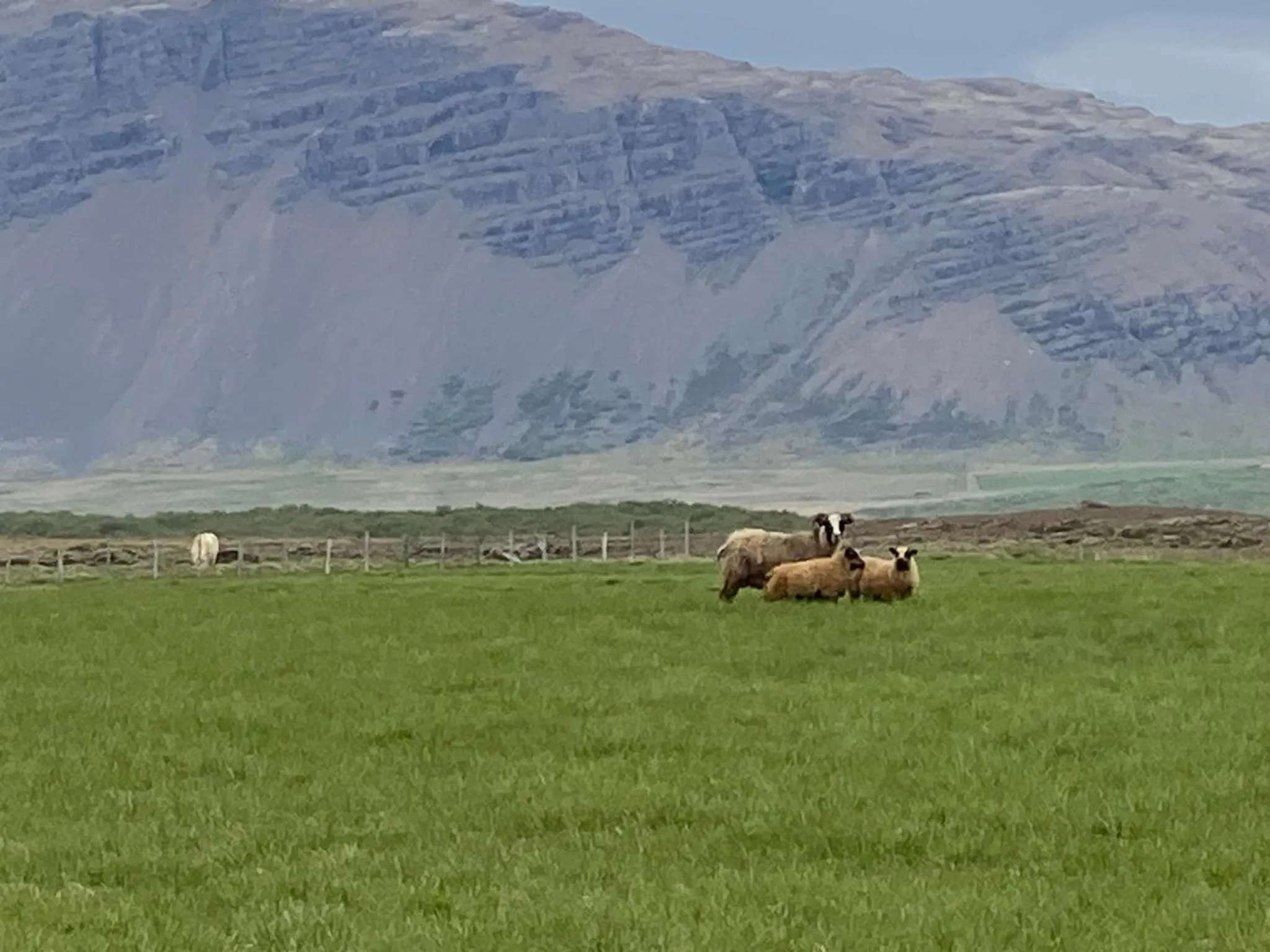 Álftártunga Farm Guesthouse