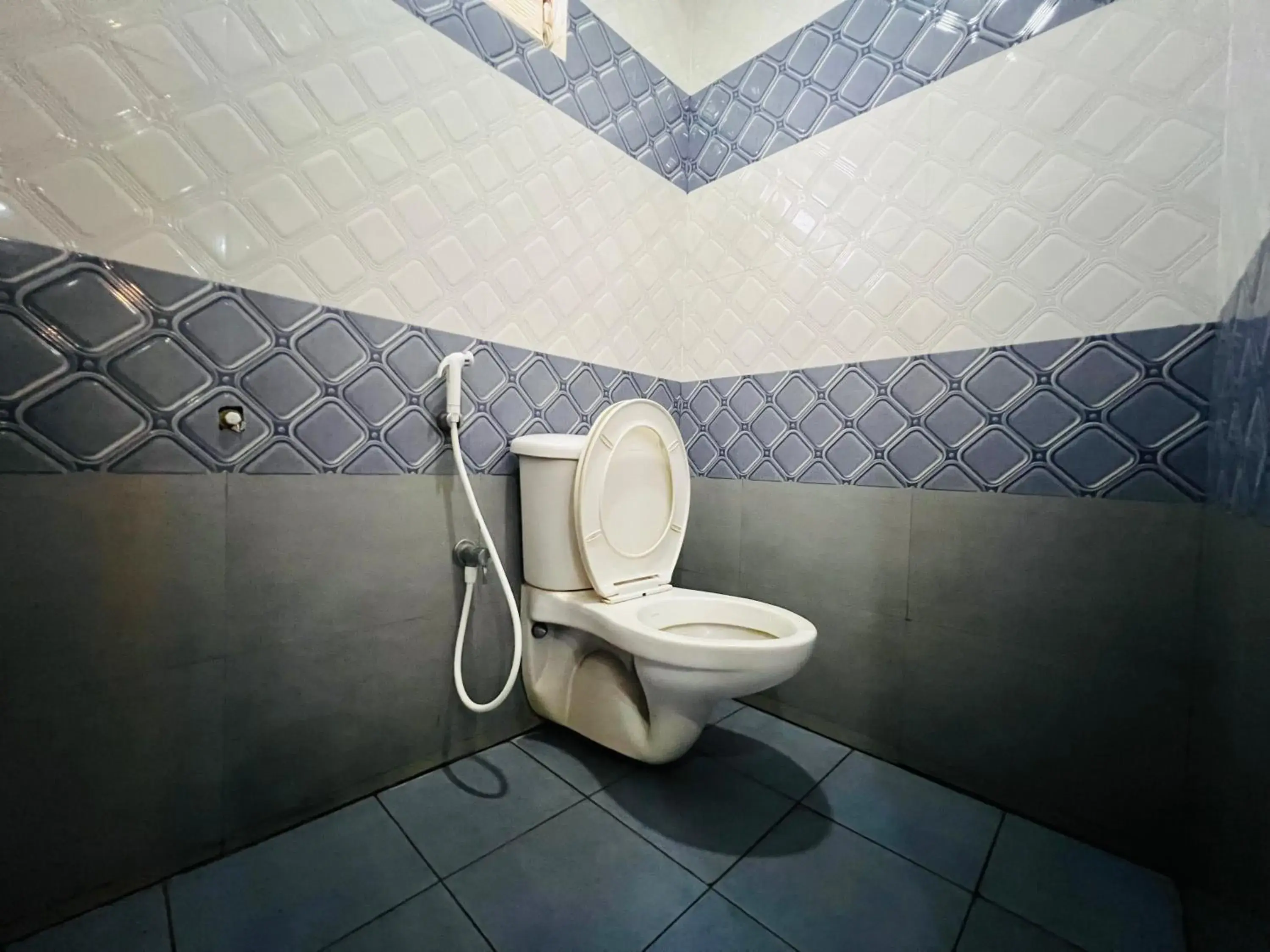 Toilet in TCS SUITES Toilet in TCS SUITES