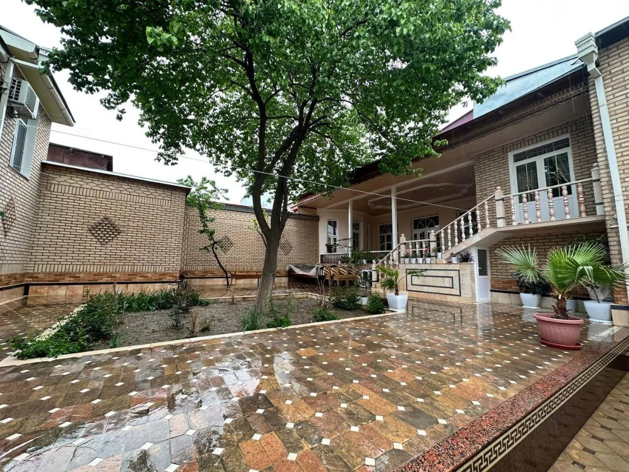 Day in Hotel Samarkand Ali