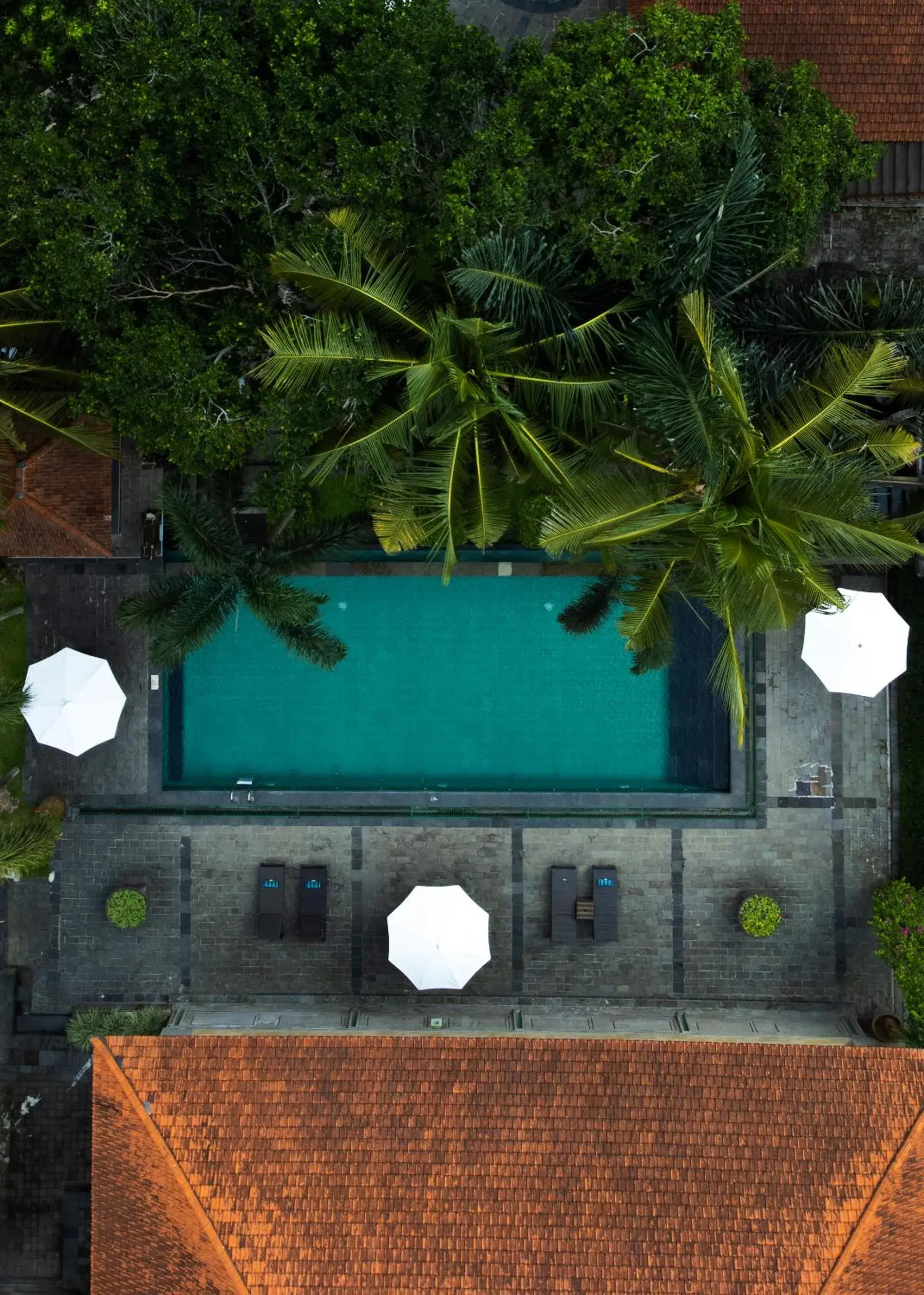 Swimming pool in Champlung Sari Villa & Spa Ubud Swimming pool in Champlung Sari Villa & Spa Ubud
