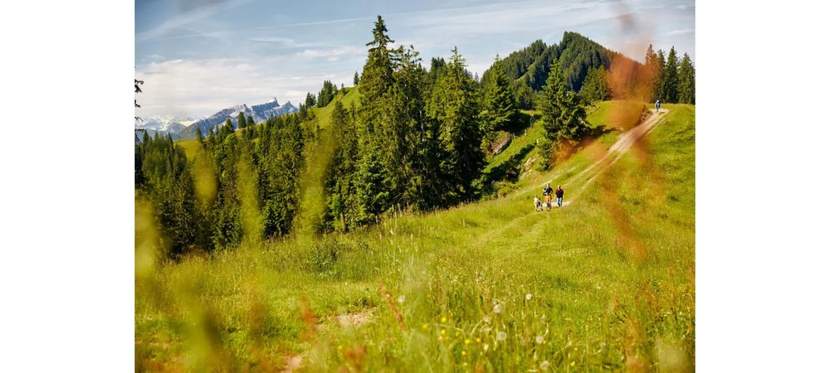 Hiking in Kurhaus Heiligkreuz