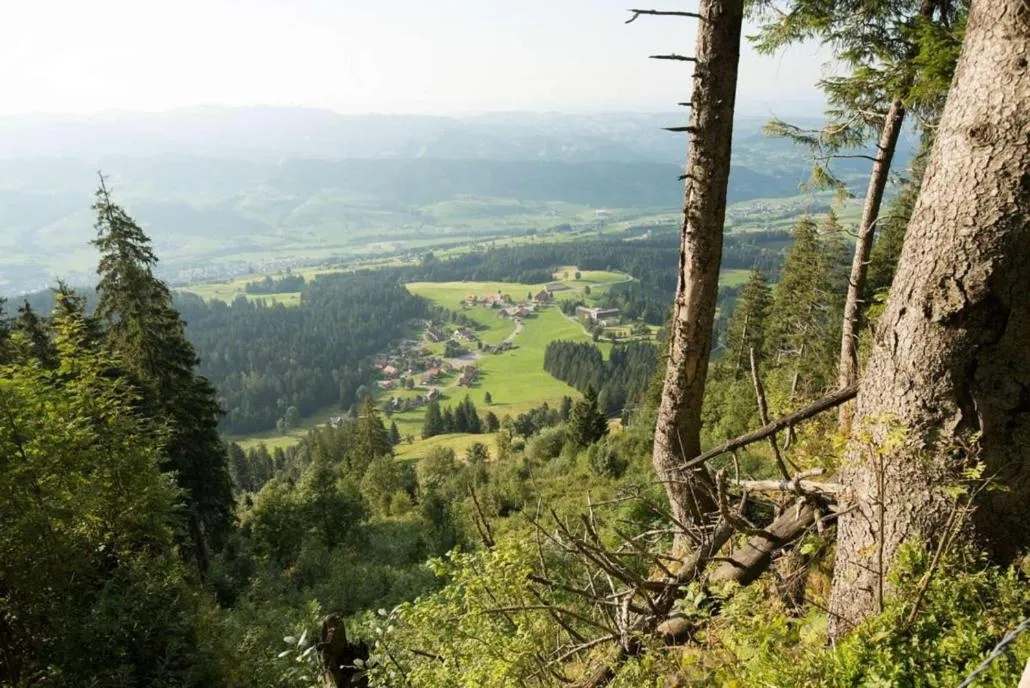 Mountain view in Kurhaus Heiligkreuz