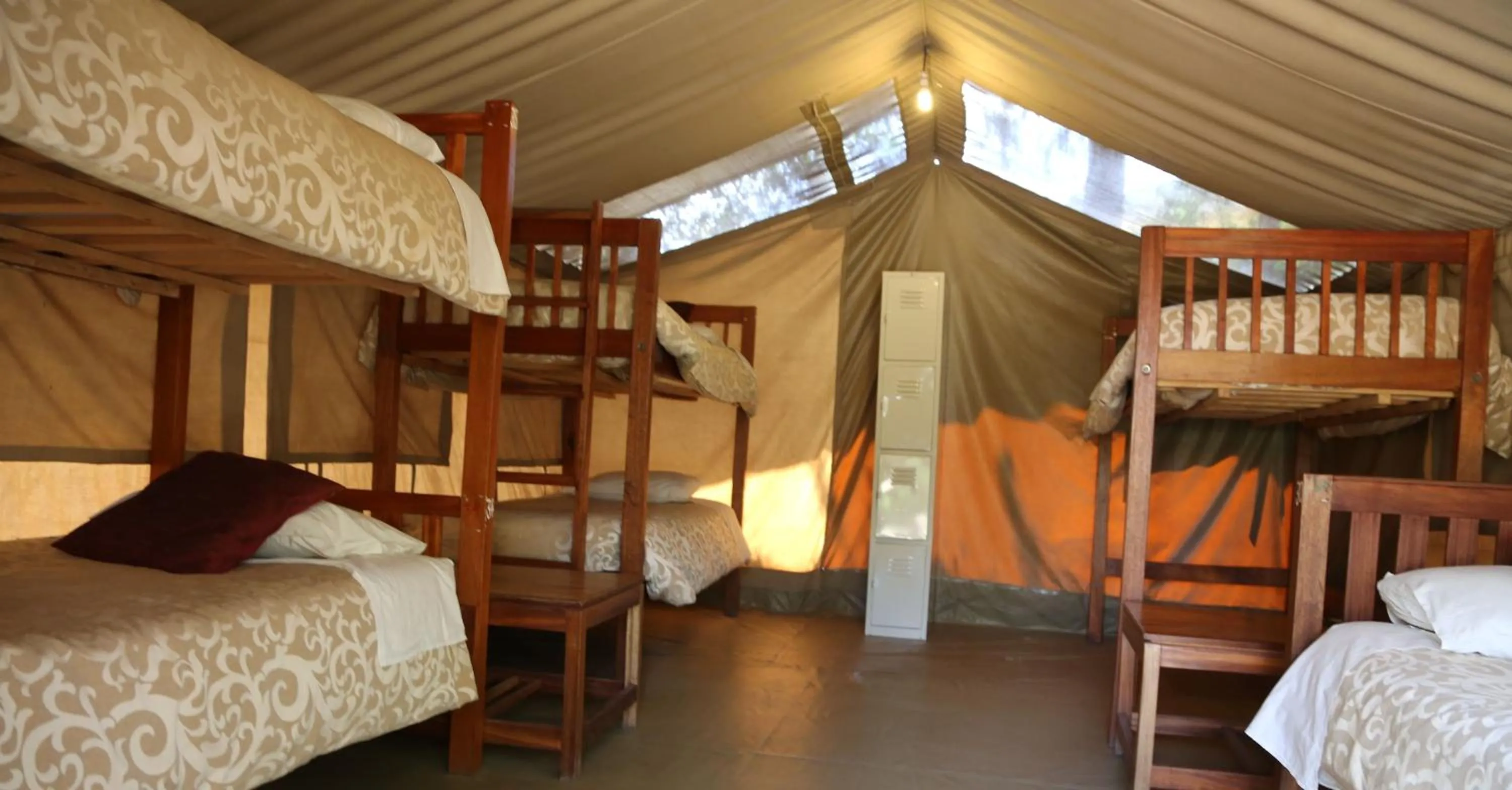 bunk bed, Bed in Wildebeest Eco Camp