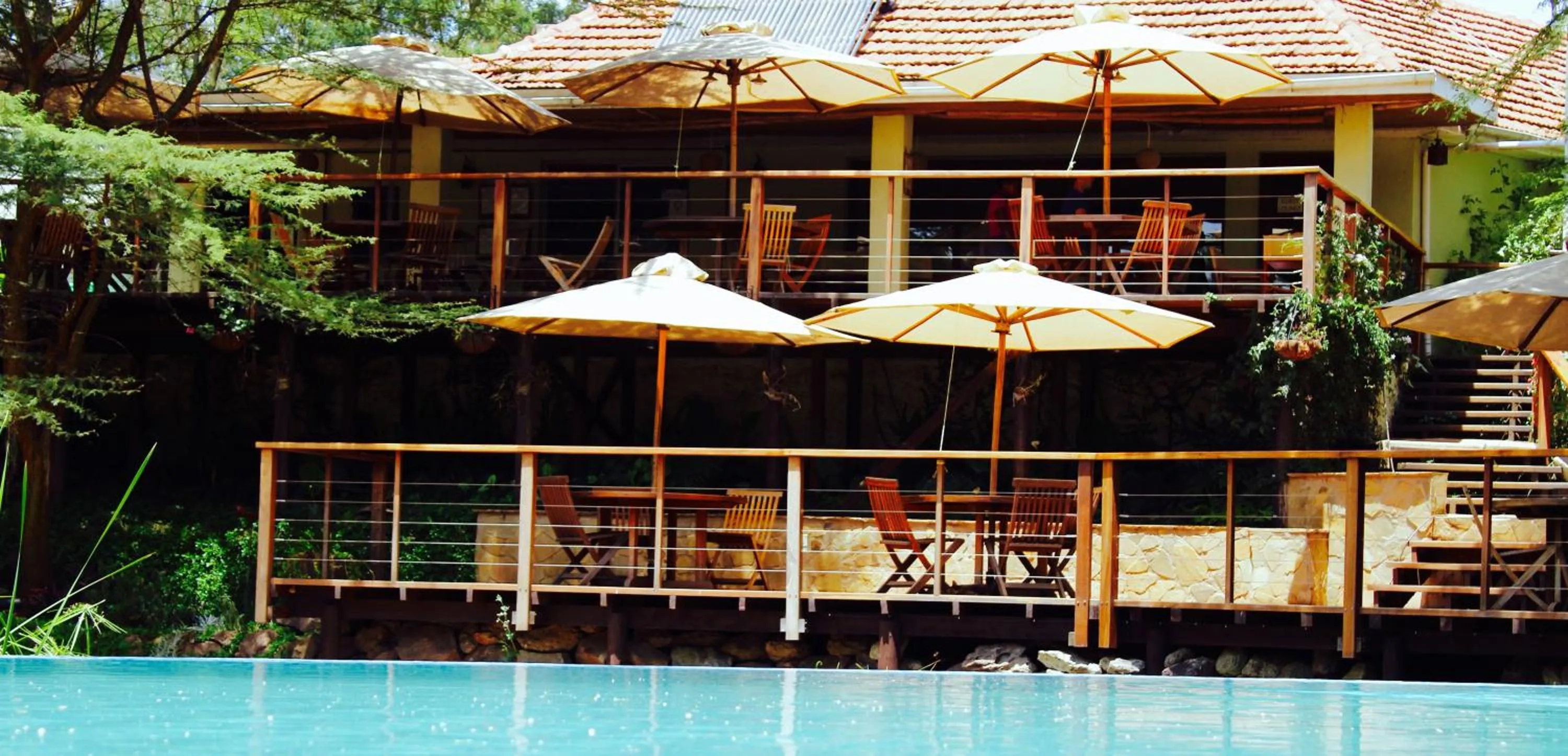 Balcony/Terrace in Wildebeest Eco Camp