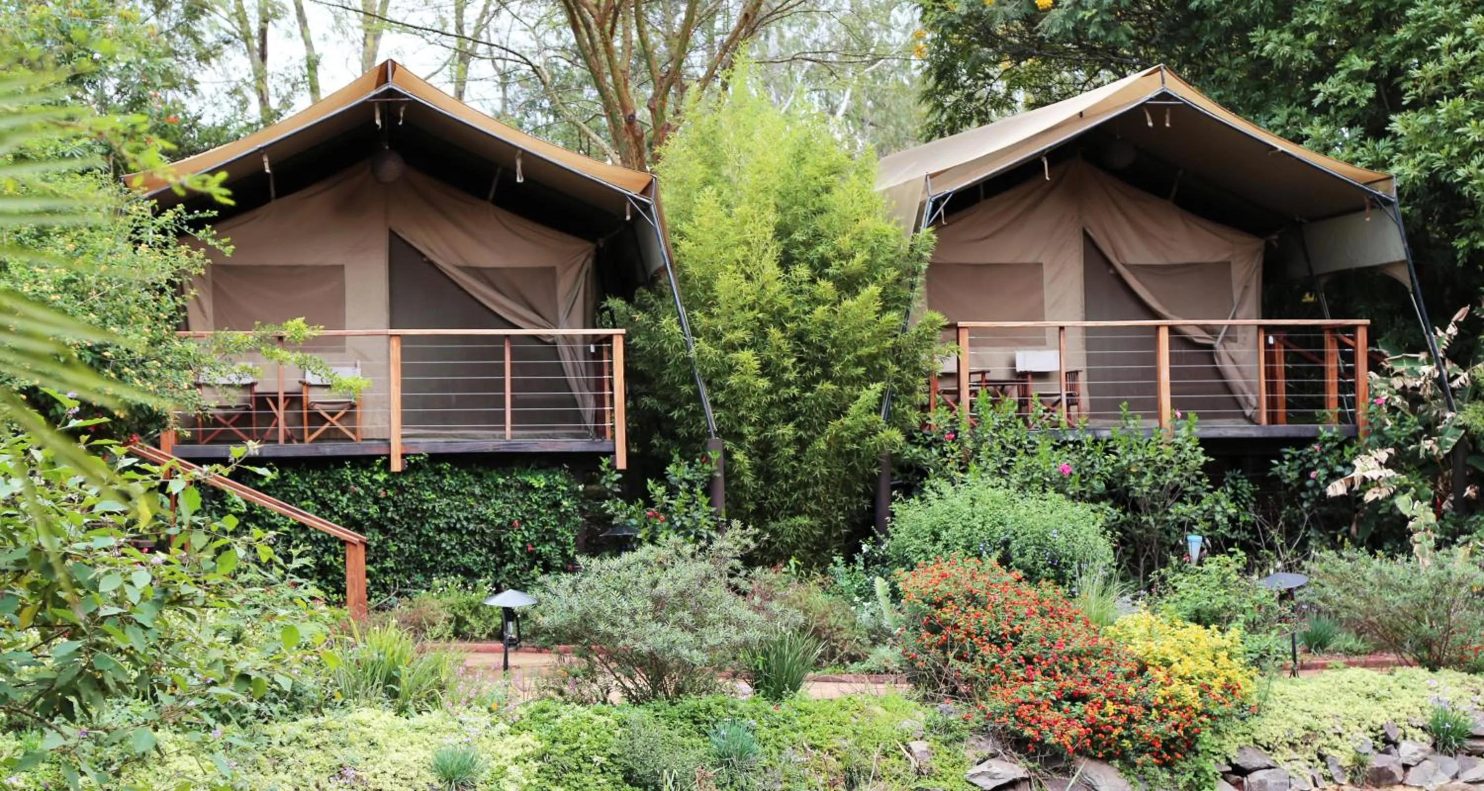 Garden view in Wildebeest Eco Camp