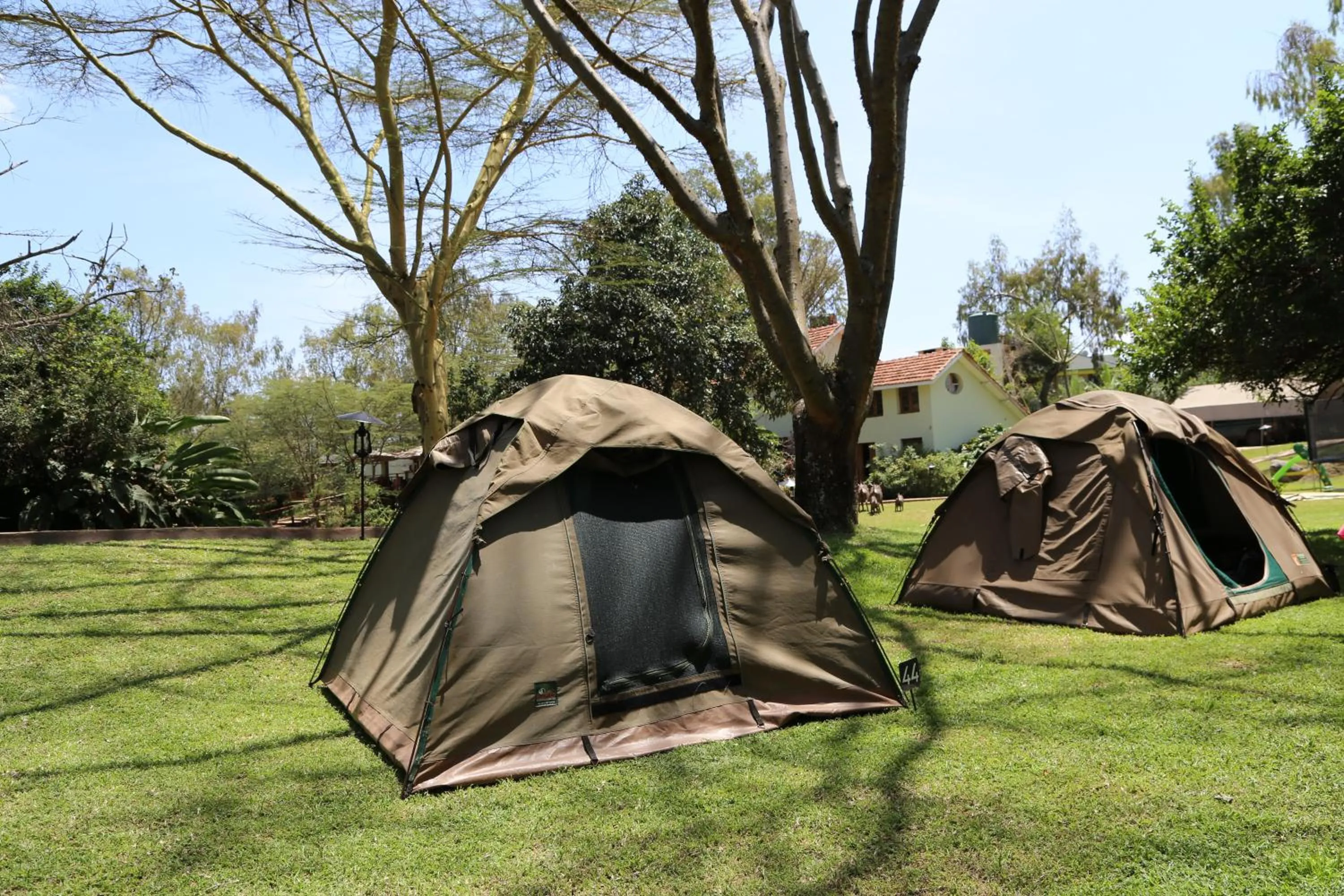 Garden in Wildebeest Eco Camp
