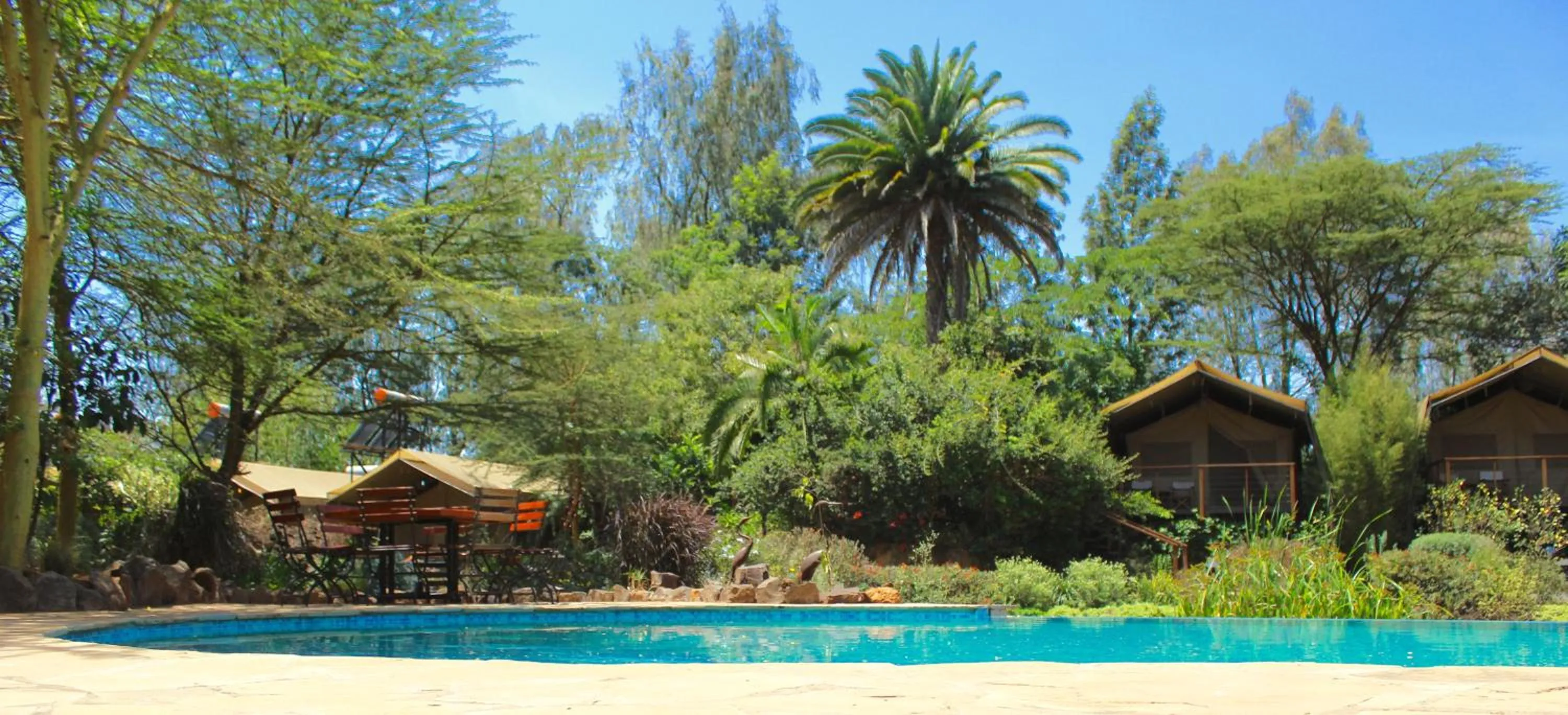 Garden view in Wildebeest Eco Camp