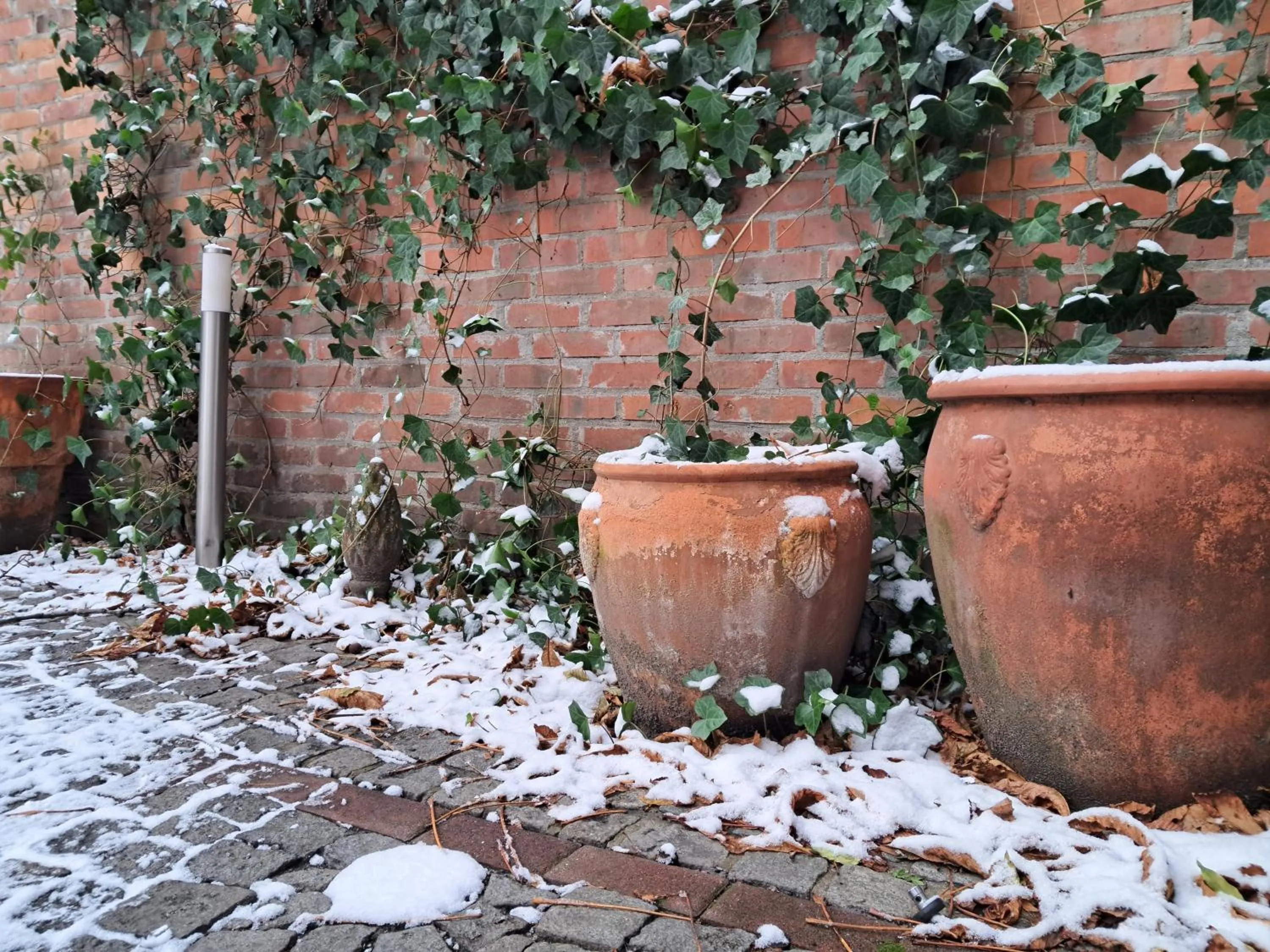 Natural landscape in Hotel Stare Miasto Old Town