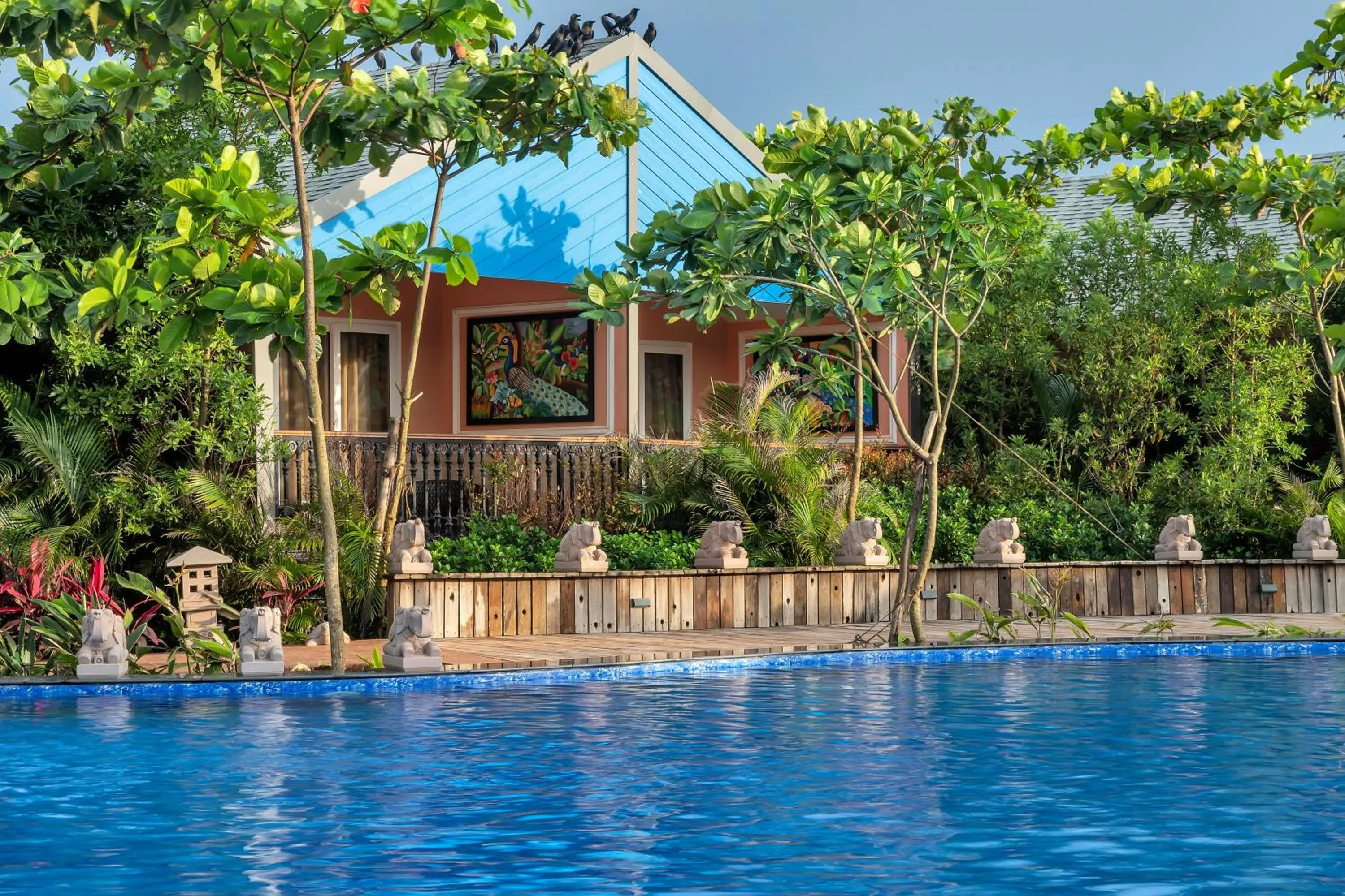 Pool view in Mayfair On Sea, Morjim Beach, Goa