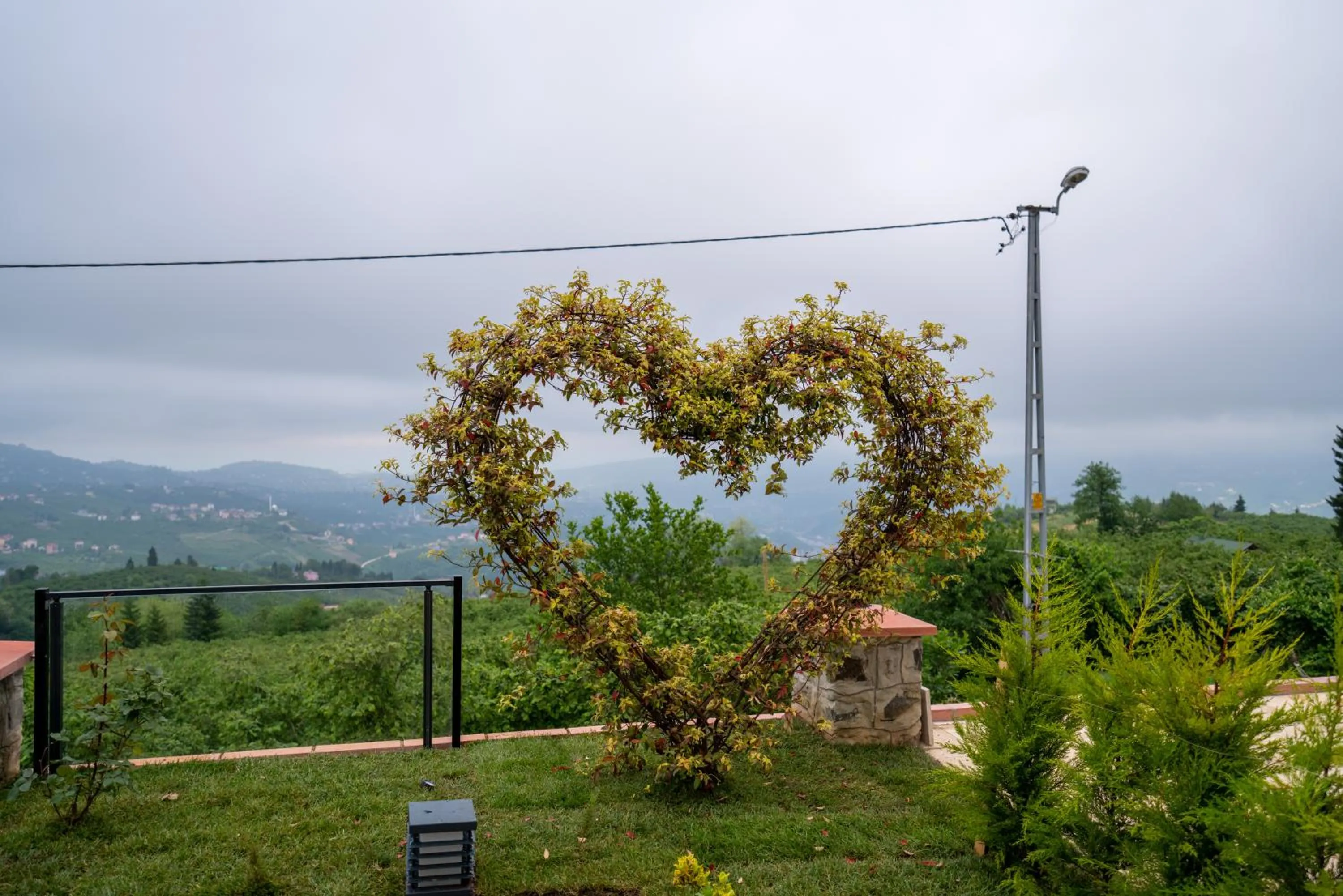 Spring in POISON GARDEN SUİTE