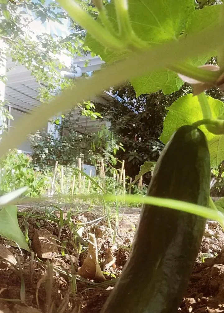 Benjamin Otel Gumusluk