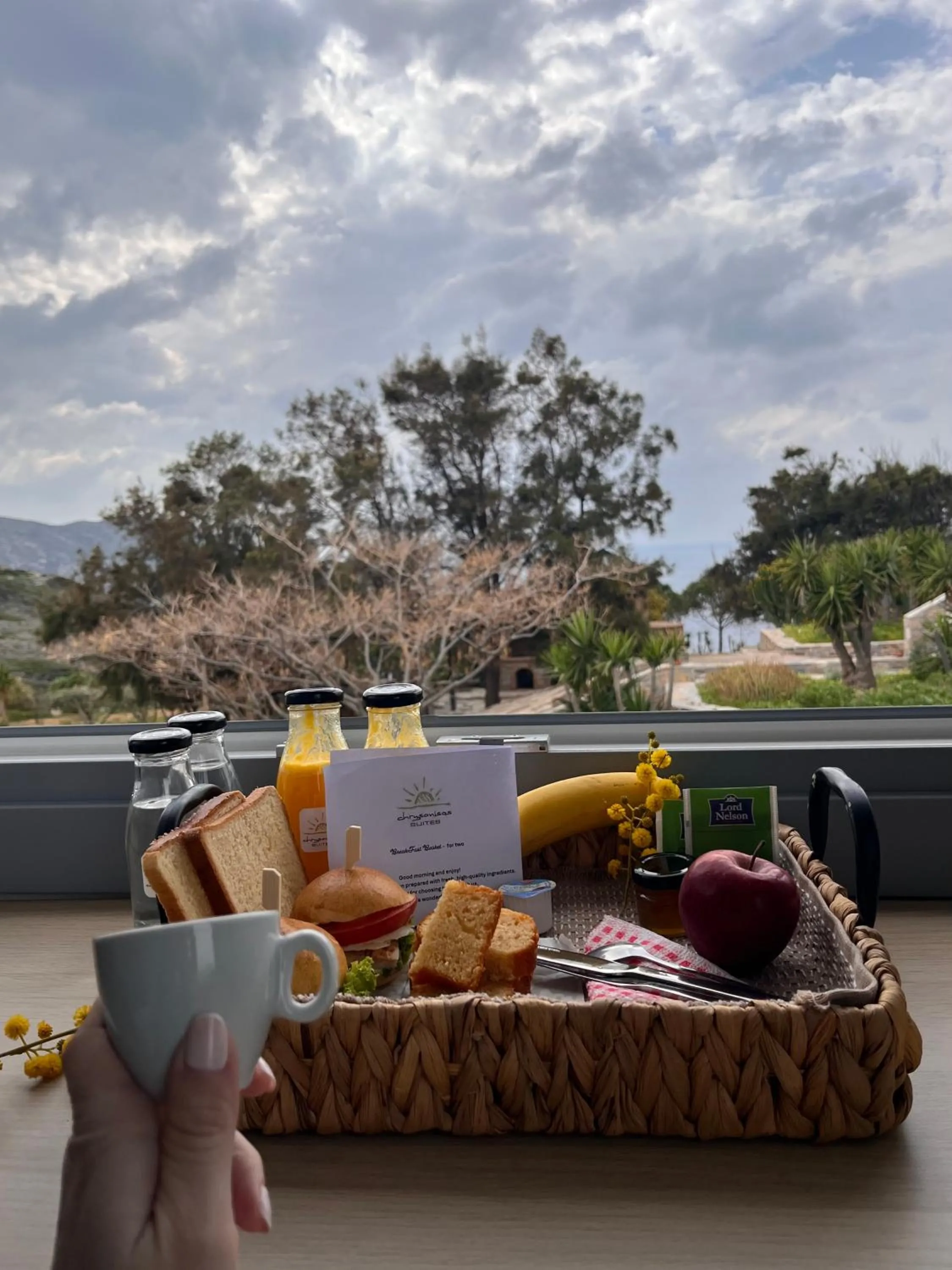 Chrysonisos Suites with Sunset & Seaviews near Kini