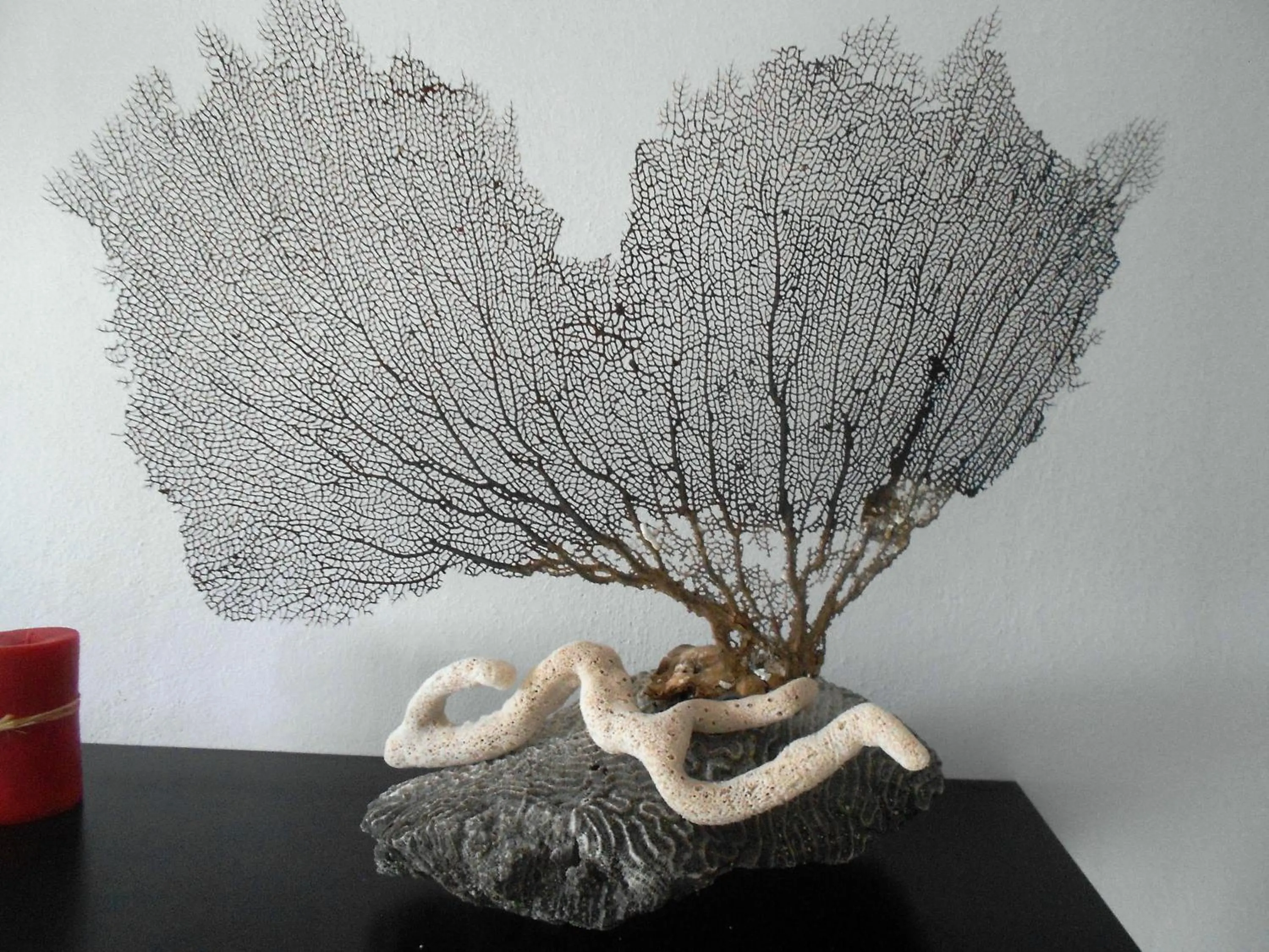 Other in Maggy's House