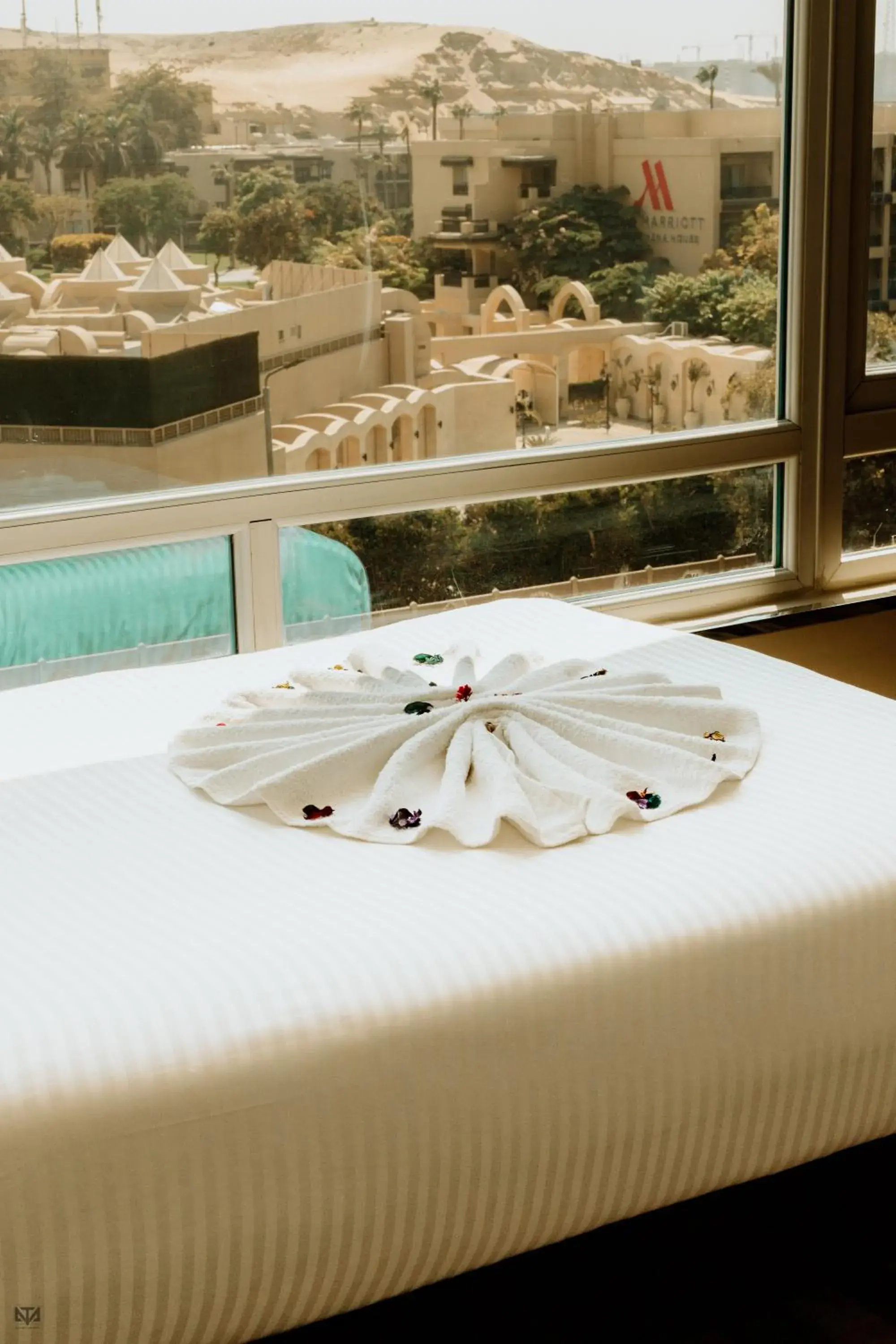 Deluxe Twin Room in Turquoise Pyramids & Grand Egyptian museum view Hotel Deluxe Twin Room in Turquoise Pyramids & Grand Egyptian museum view Hotel