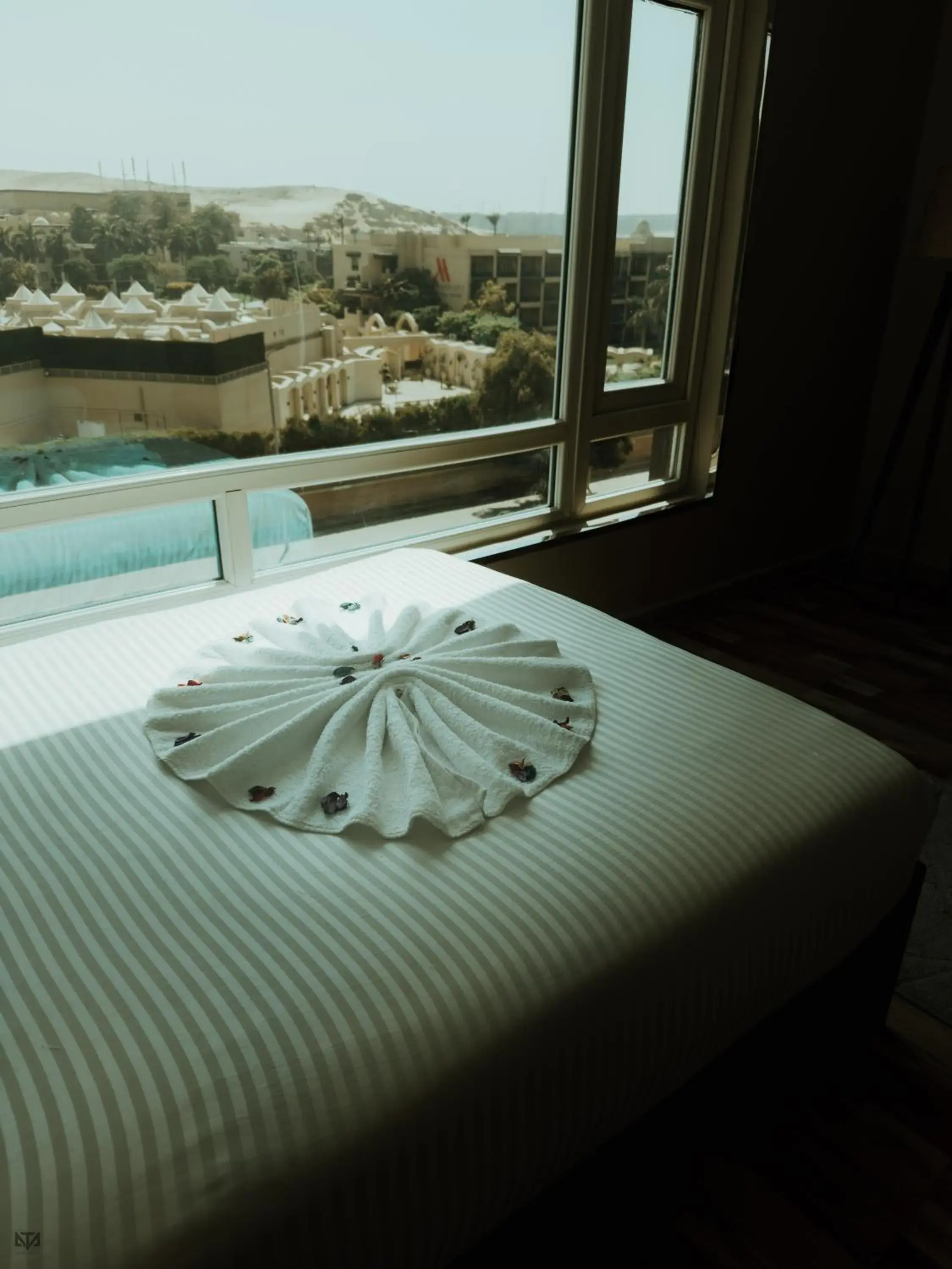 Deluxe Twin Room in Turquoise Pyramids & Grand Egyptian museum view Hotel Deluxe Twin Room in Turquoise Pyramids & Grand Egyptian museum view Hotel