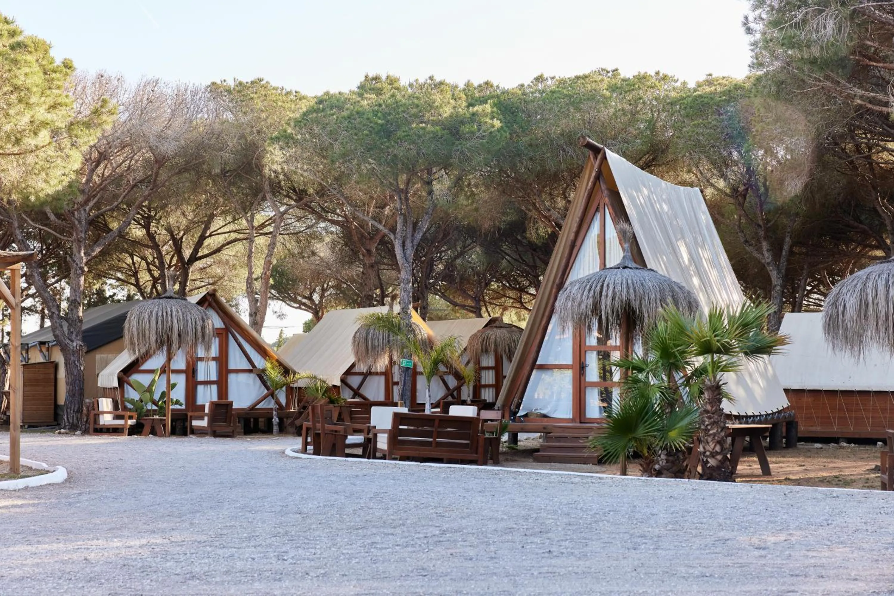 Garden in TAIGA Conil