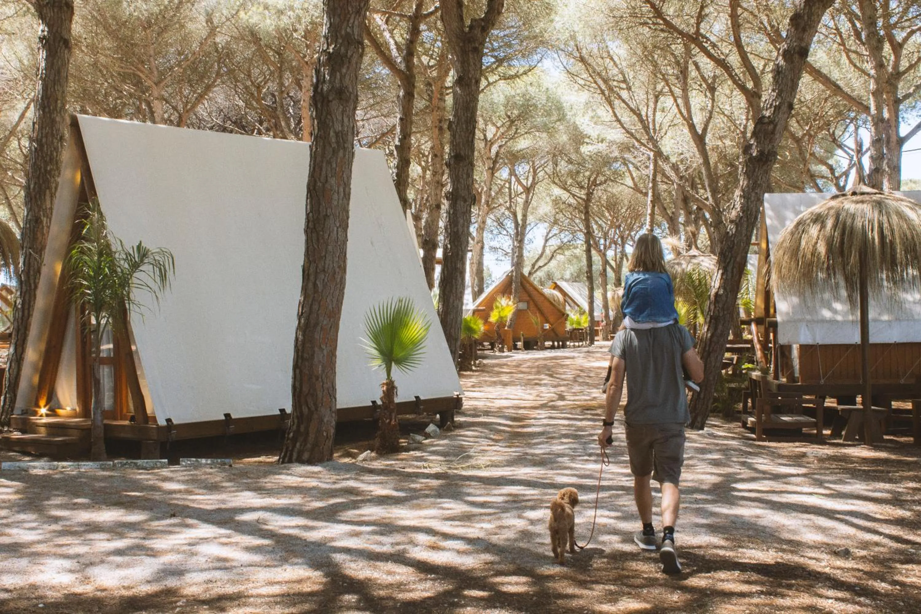 Natural landscape in TAIGA Conil