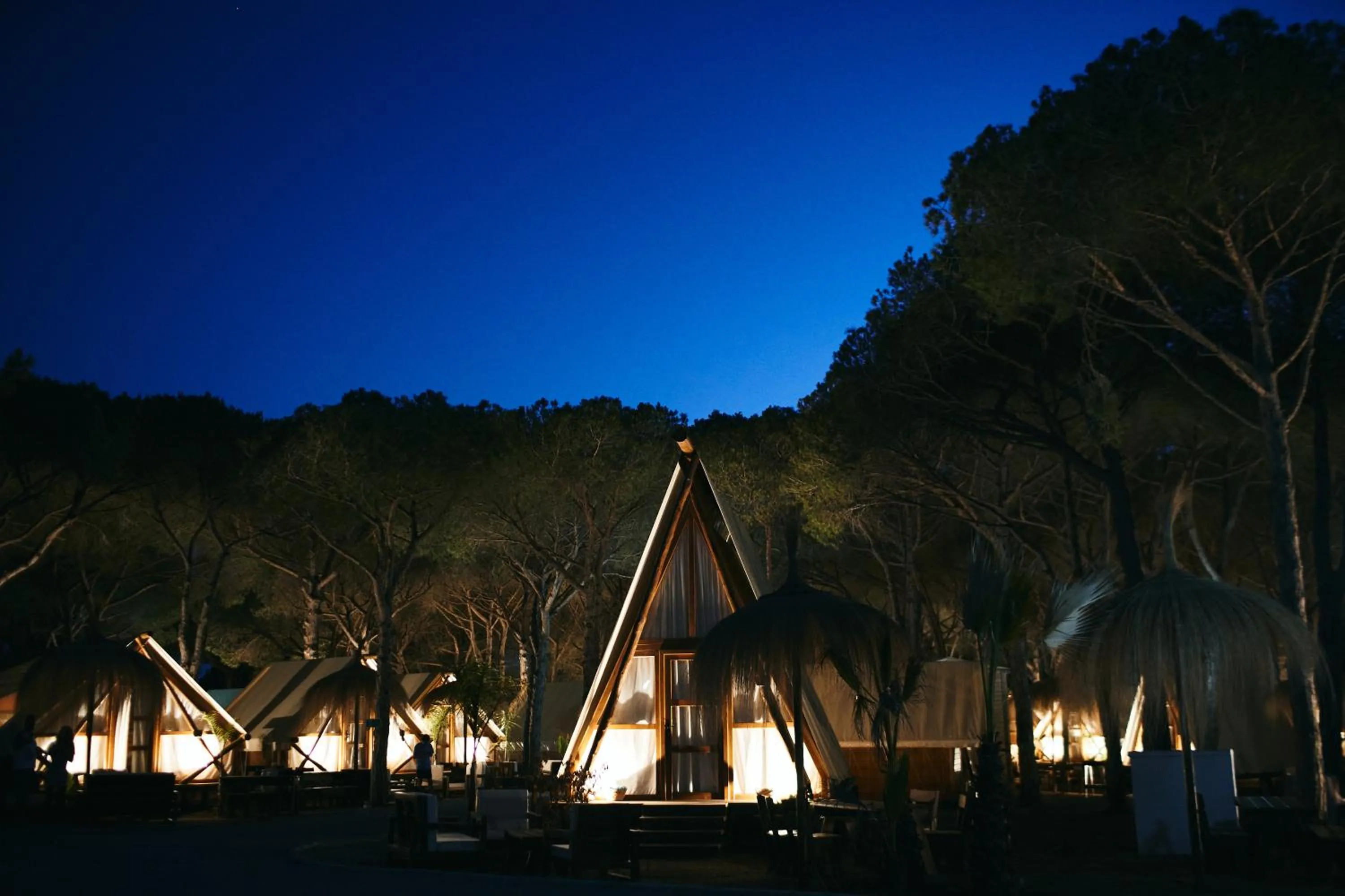 Night in TAIGA Conil