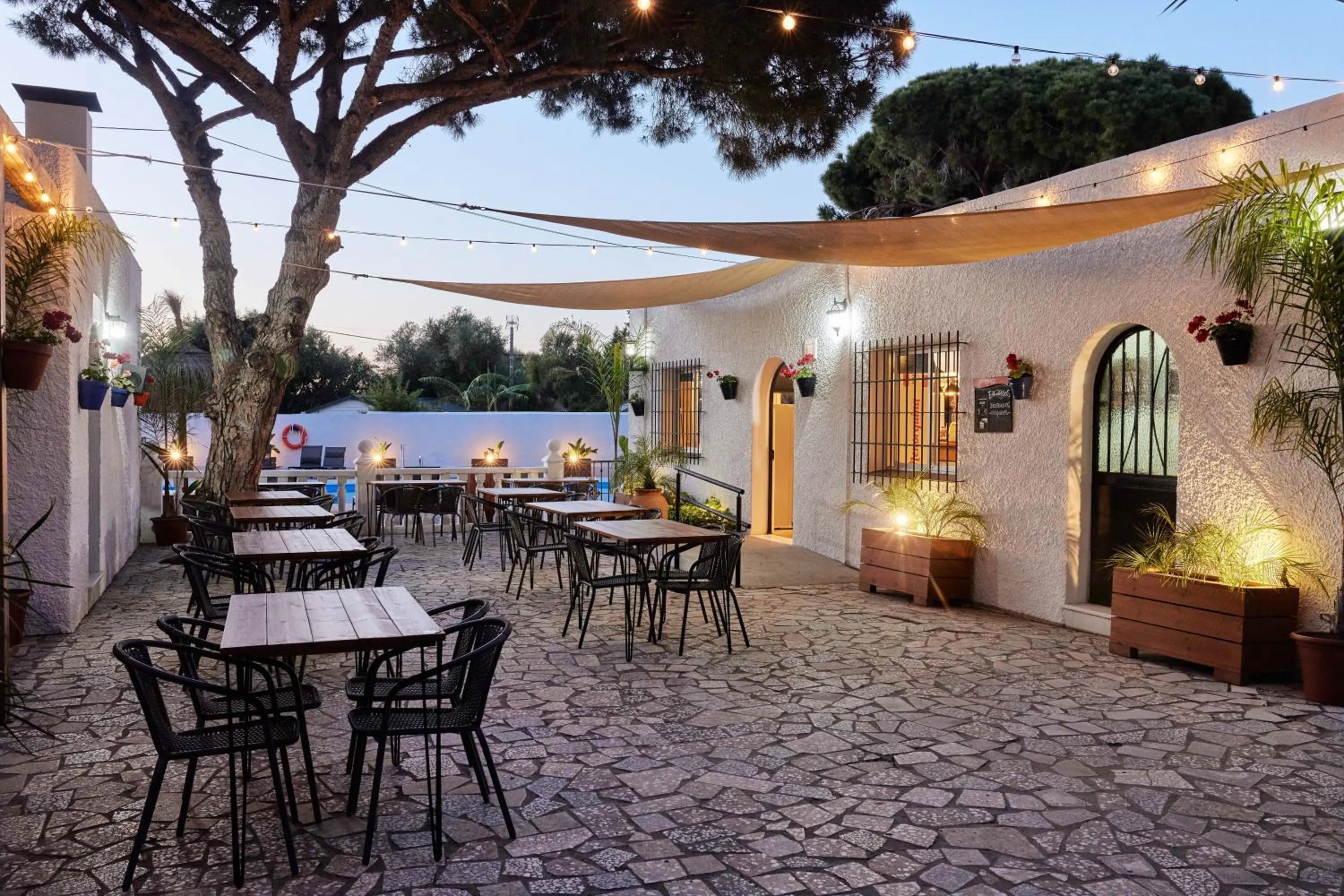 Restaurant/places to eat in TAIGA Conil