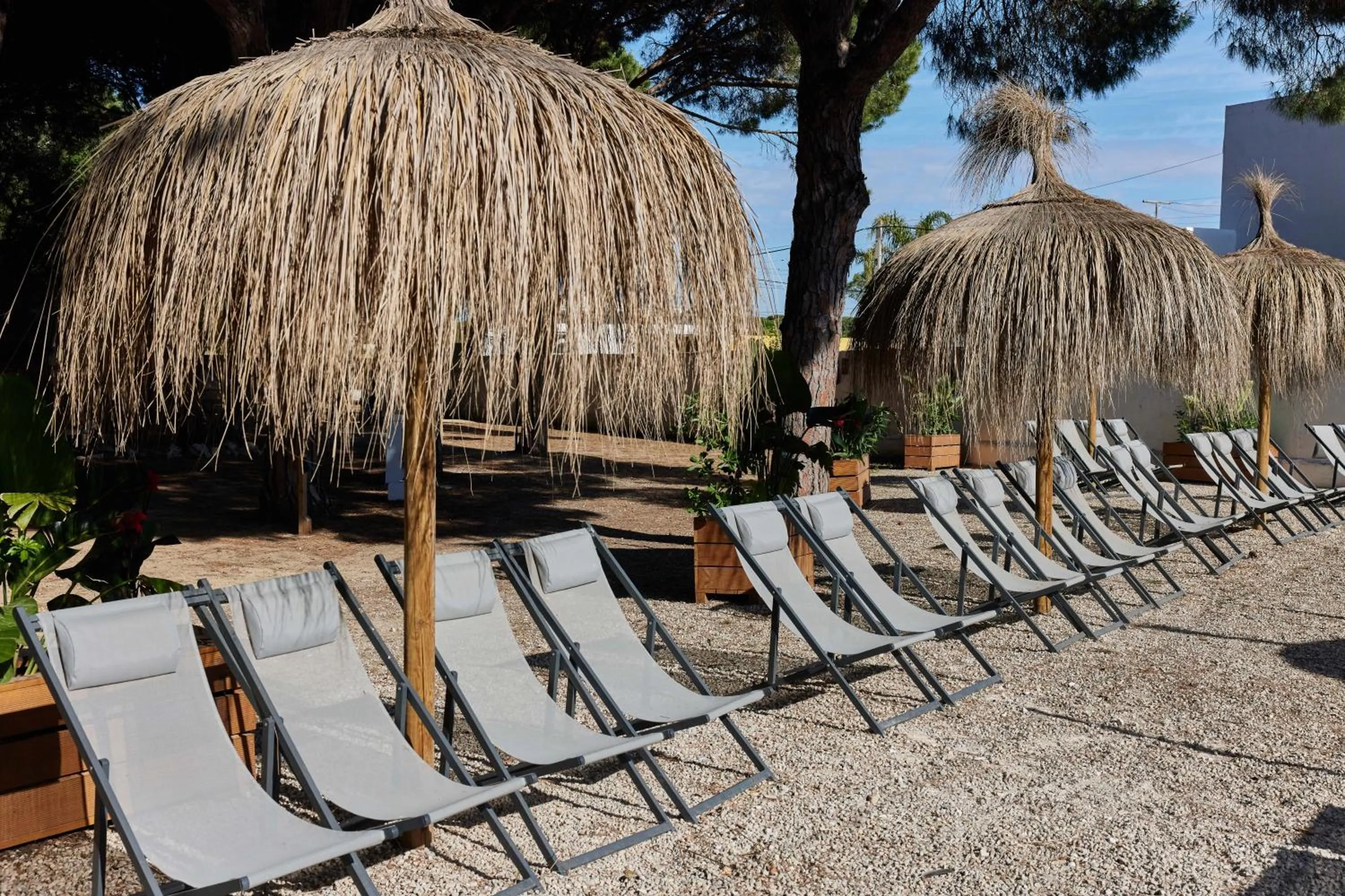 Swimming pool in TAIGA Conil