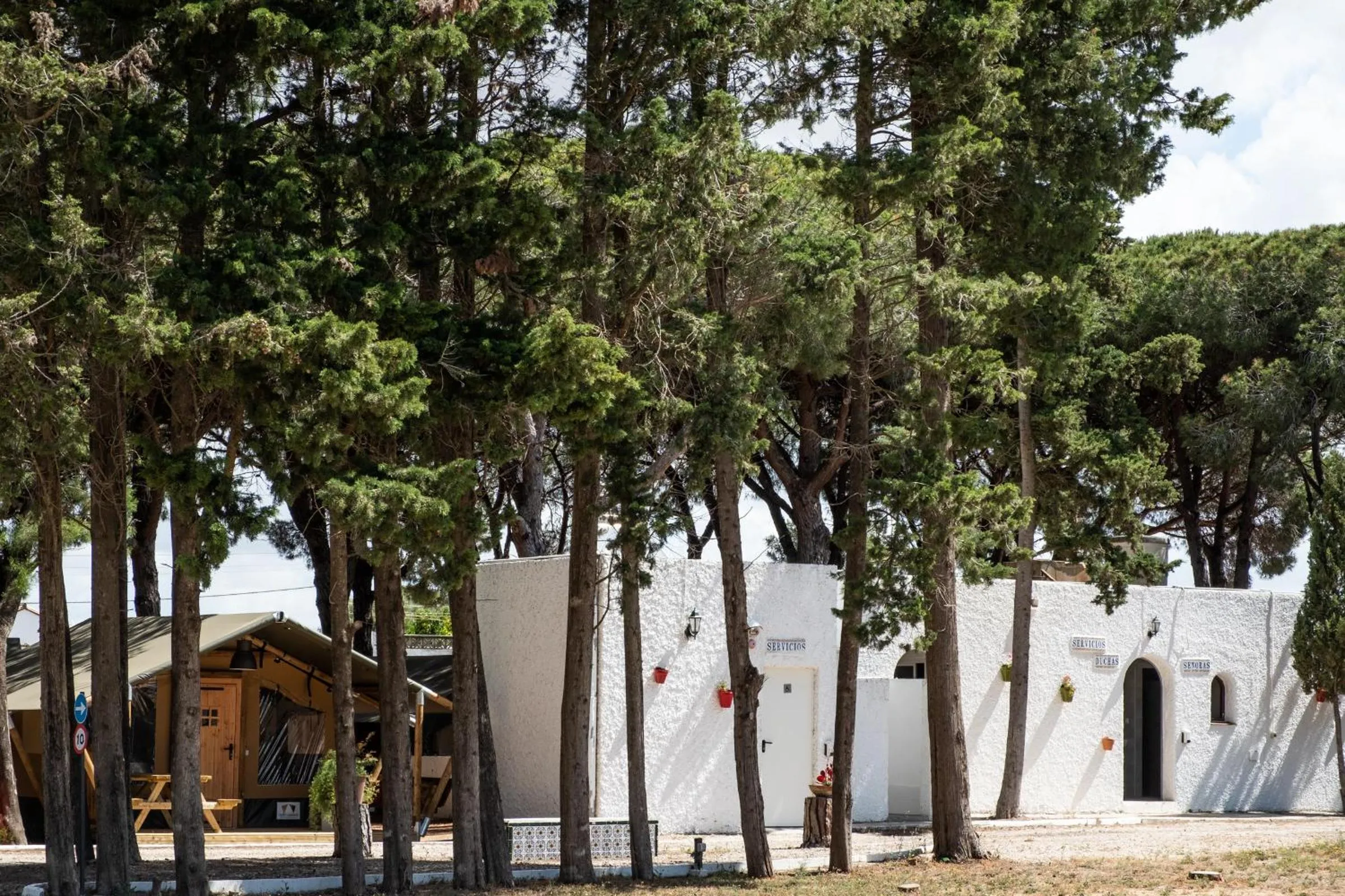 Property building in TAIGA Conil