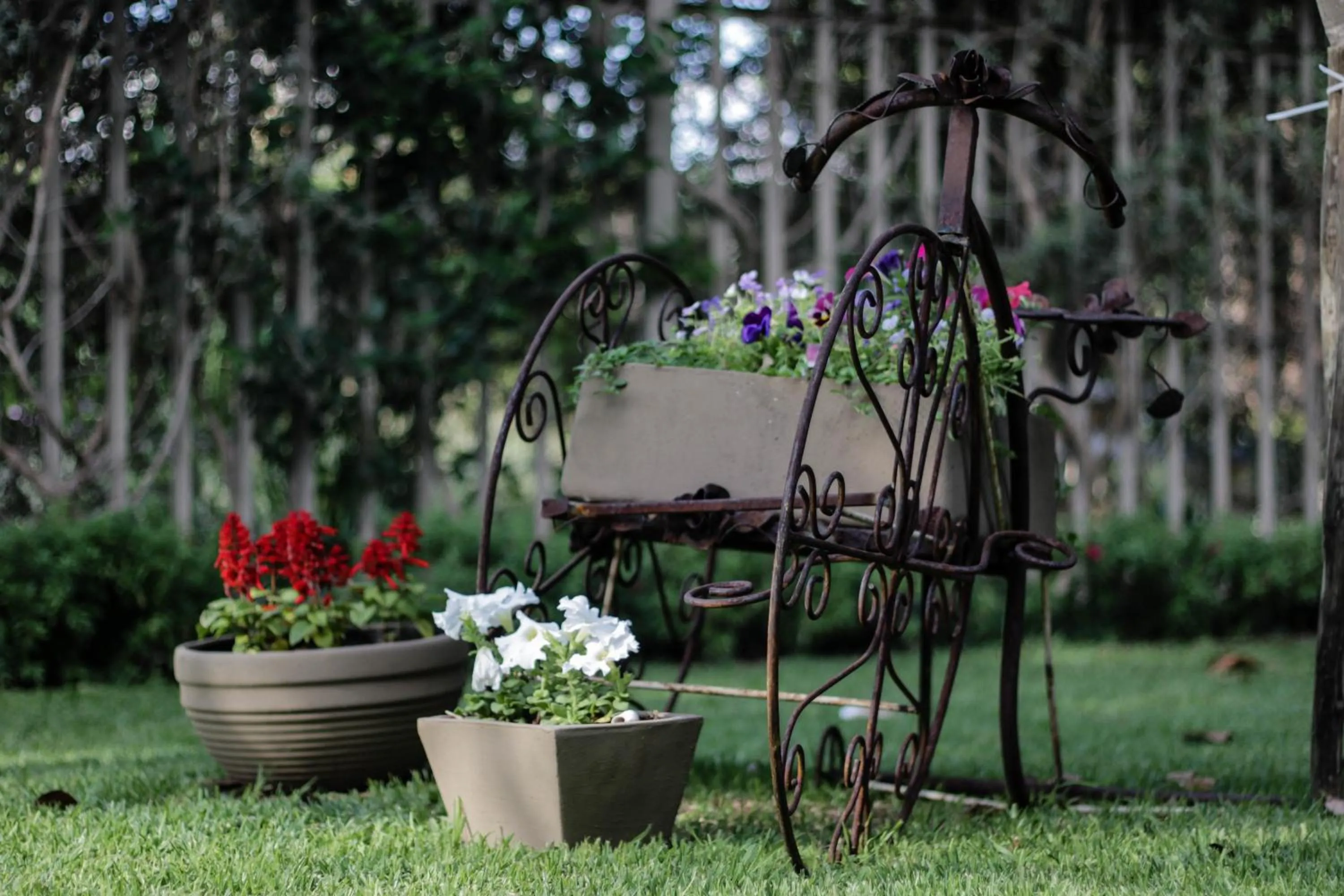 Garden in Danlee Overnight Accommodation