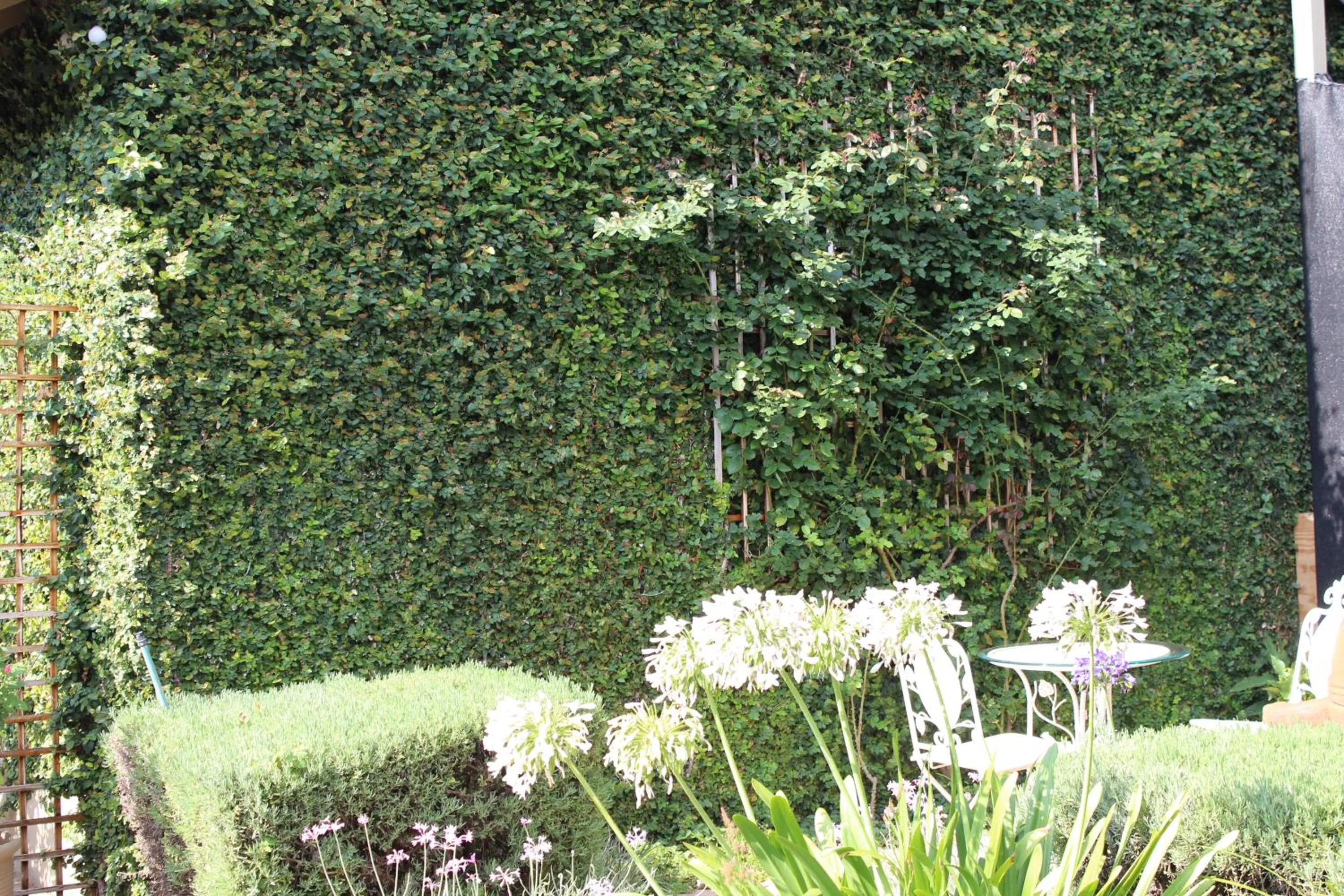 Garden view in Danlee Overnight Accommodation