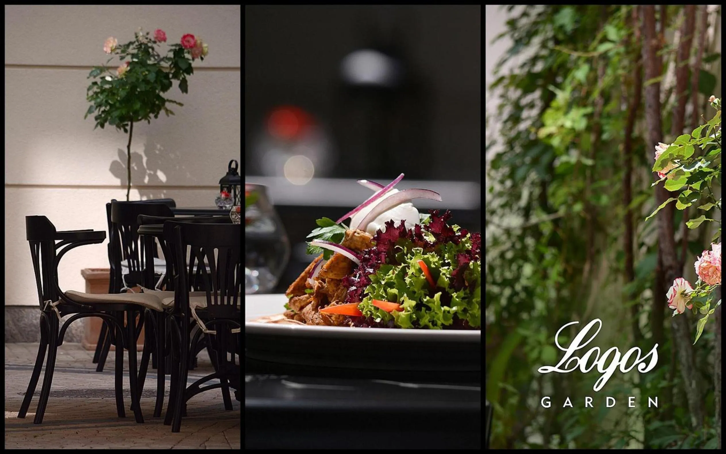 Garden view in Hotel Logos Kraków