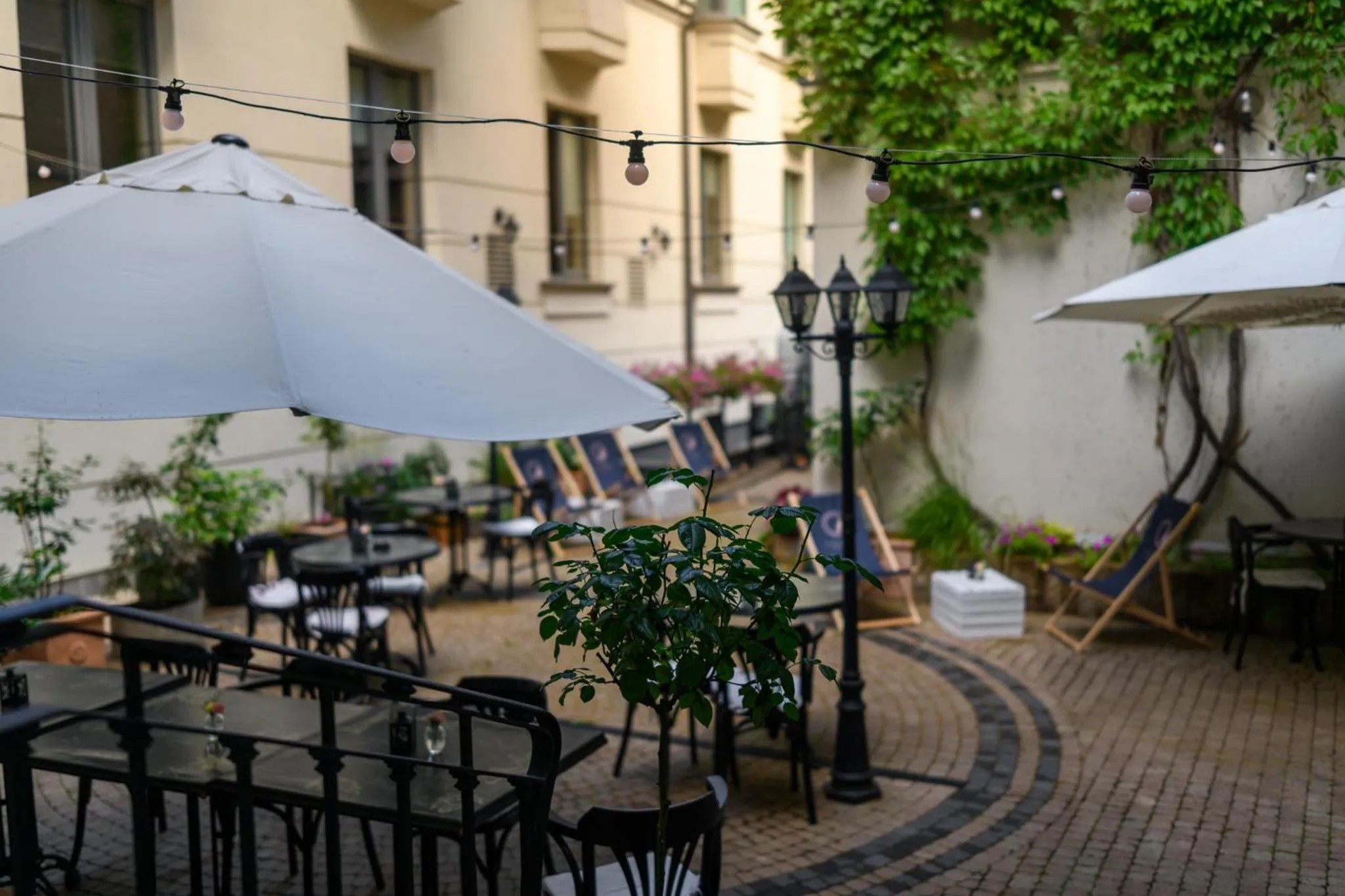 Patio in Hotel Logos Kraków