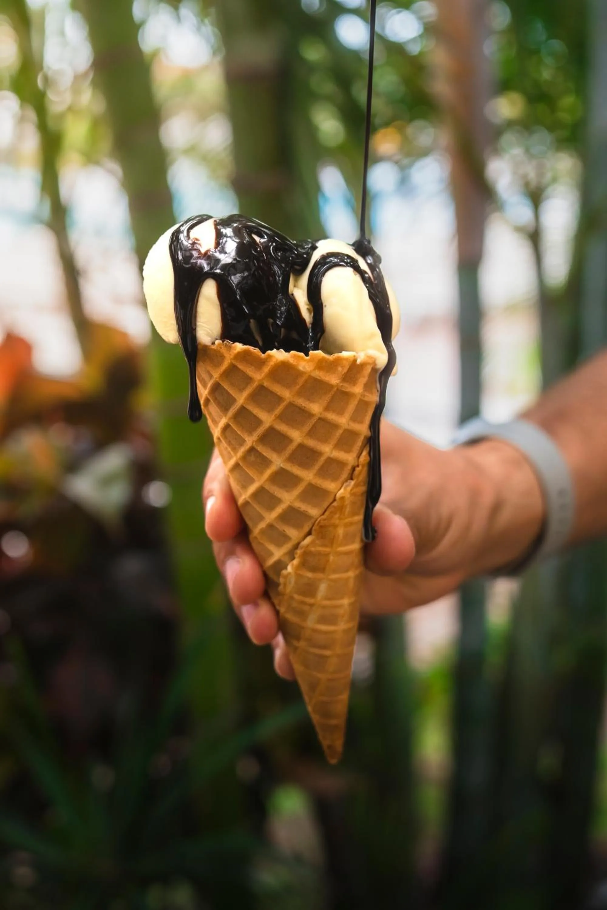 Food in Marinell Collection Palm-Mar