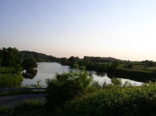 Area and facilities in Hotel Bona