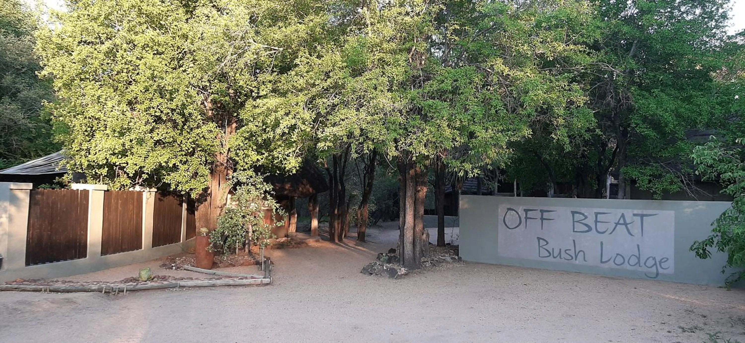 Natural landscape in Off Beat Safaris Bush Lodge