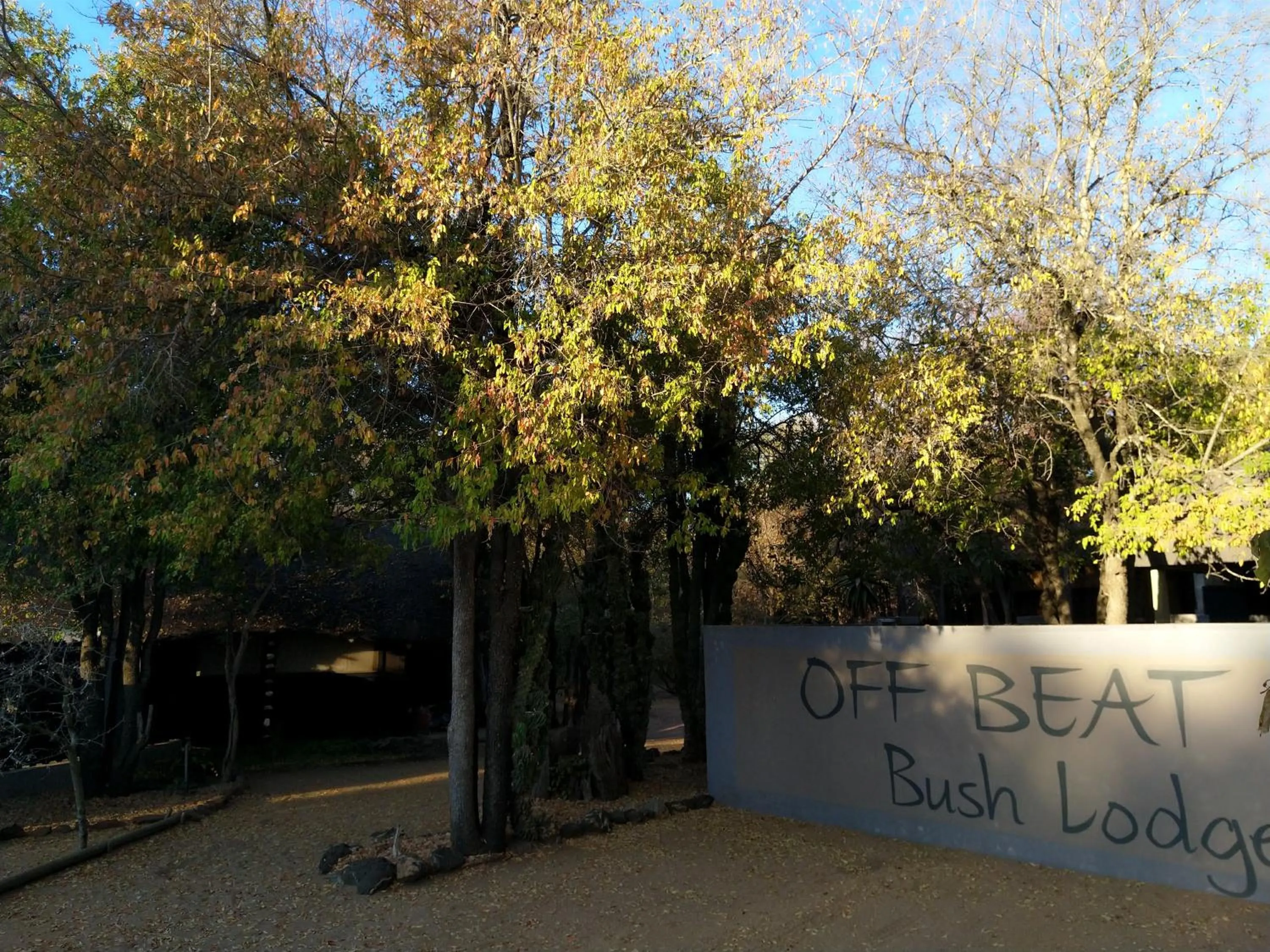 Facade/entrance in Off Beat Safaris Bush Lodge