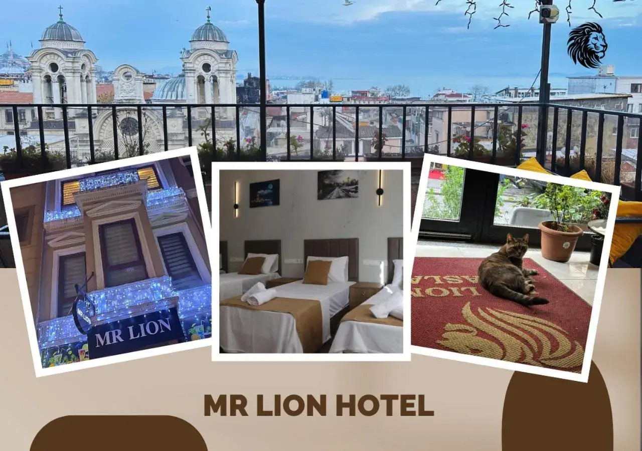 Mr Lion Kumkapı Otel Mr Lion Kumkapı Otel
