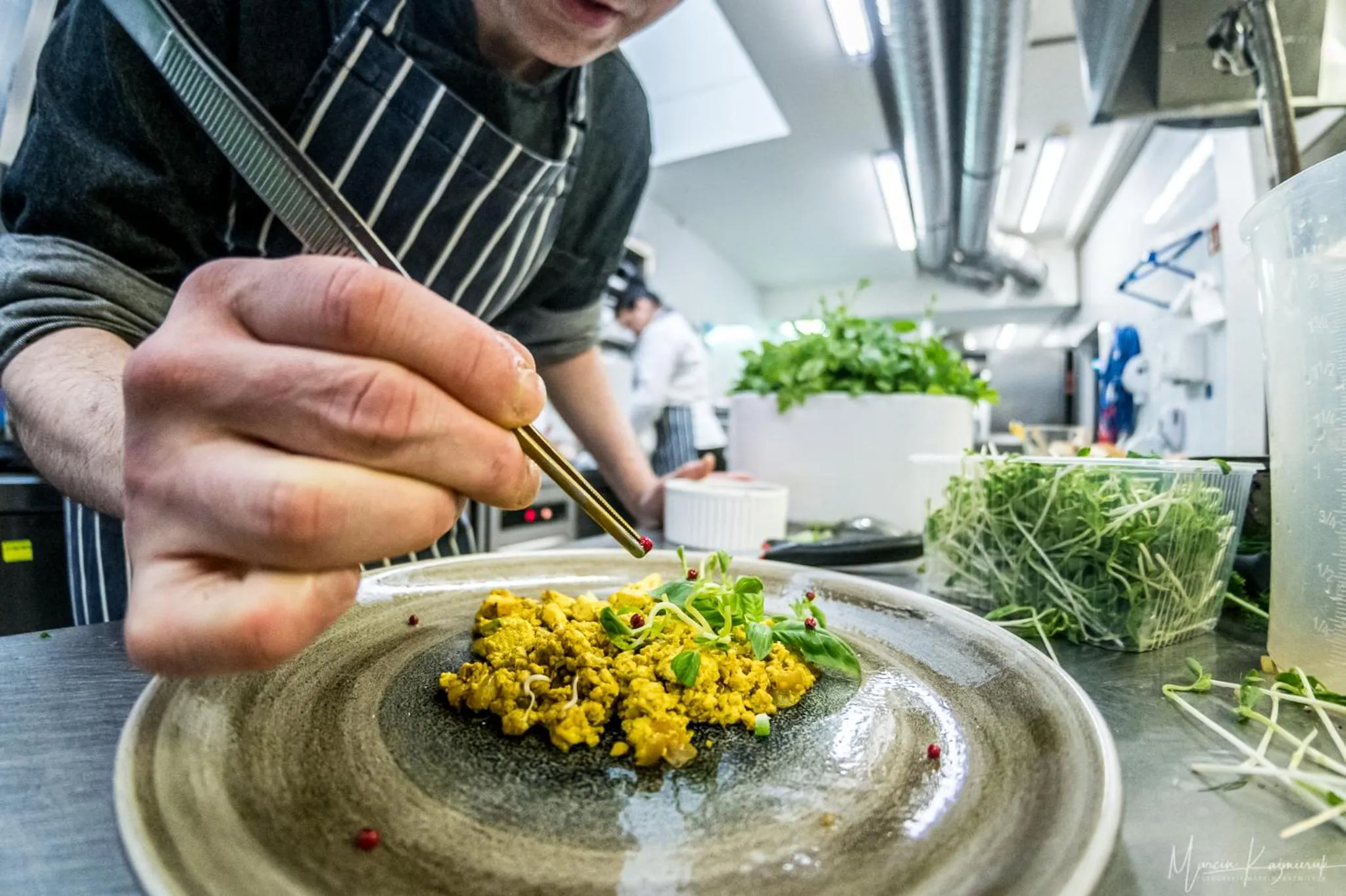 Restaurant/places to eat in Boutique Eco Hotel Sasanka