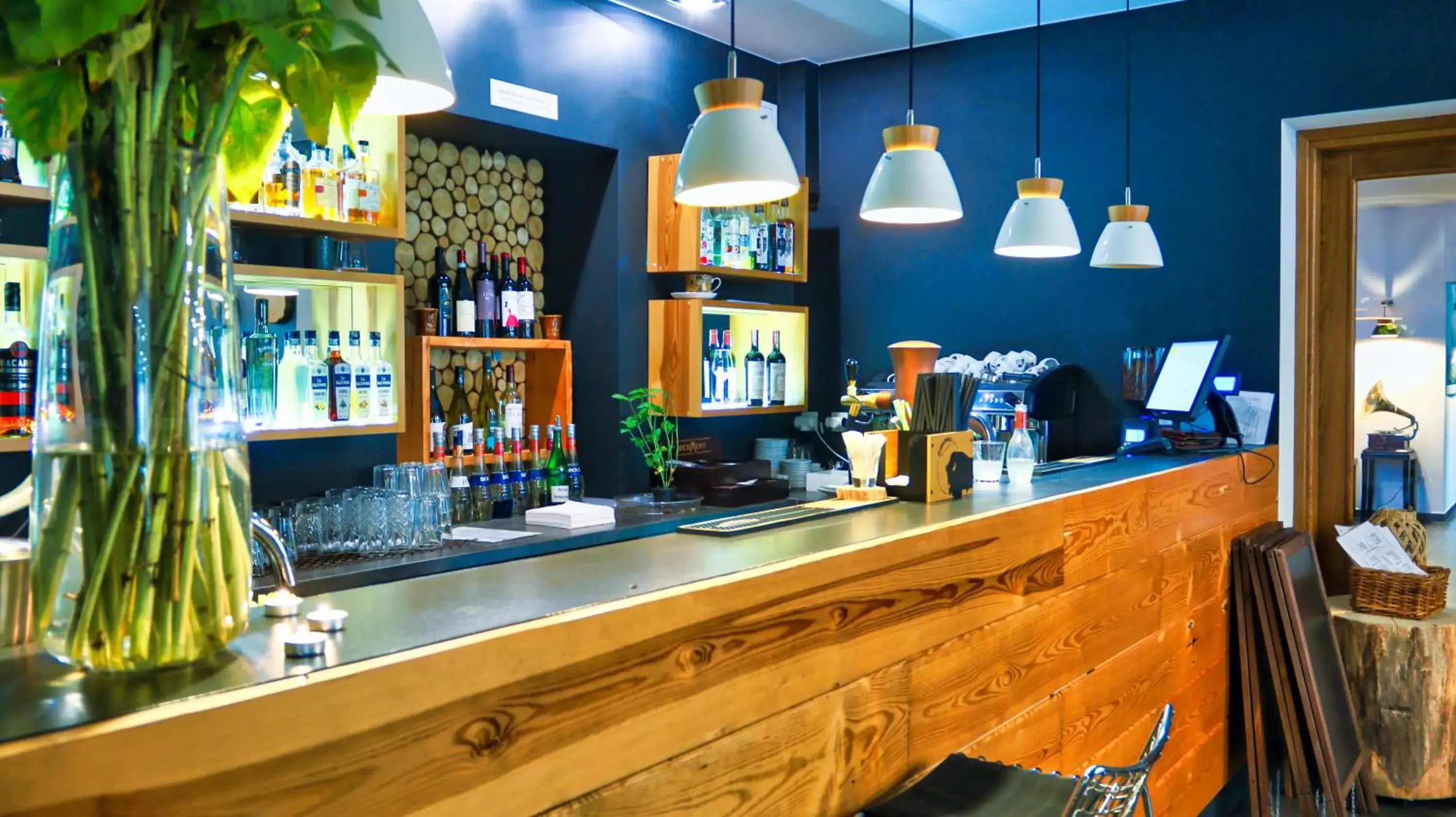 Lounge or bar in Boutique Eco Hotel Sasanka Lounge or bar in Boutique Eco Hotel Sasanka