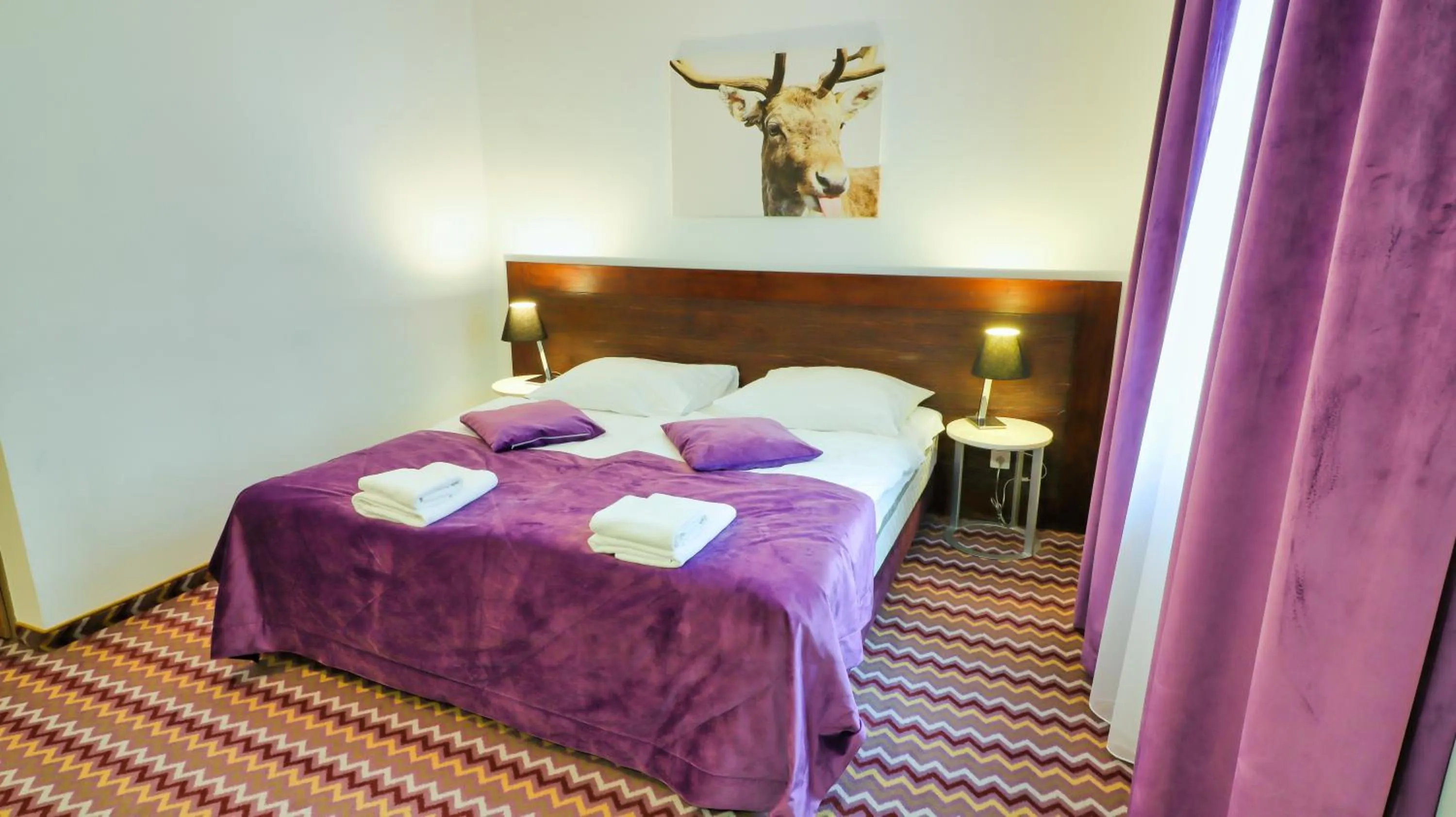 Photo of the whole room, Bed in Boutique Eco Hotel Sasanka