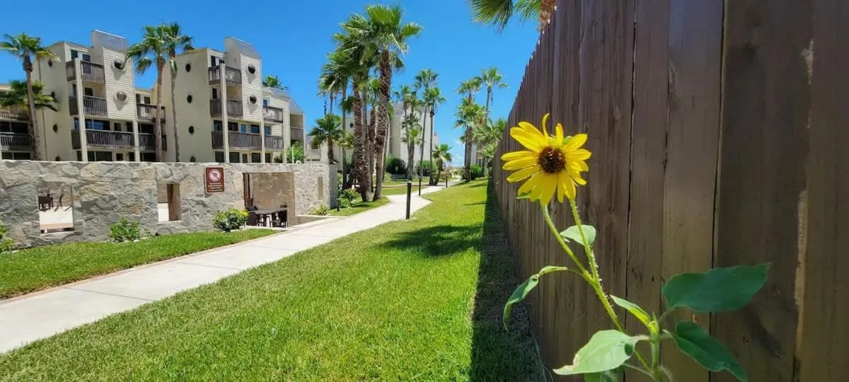Property building in Bahia Mar #426