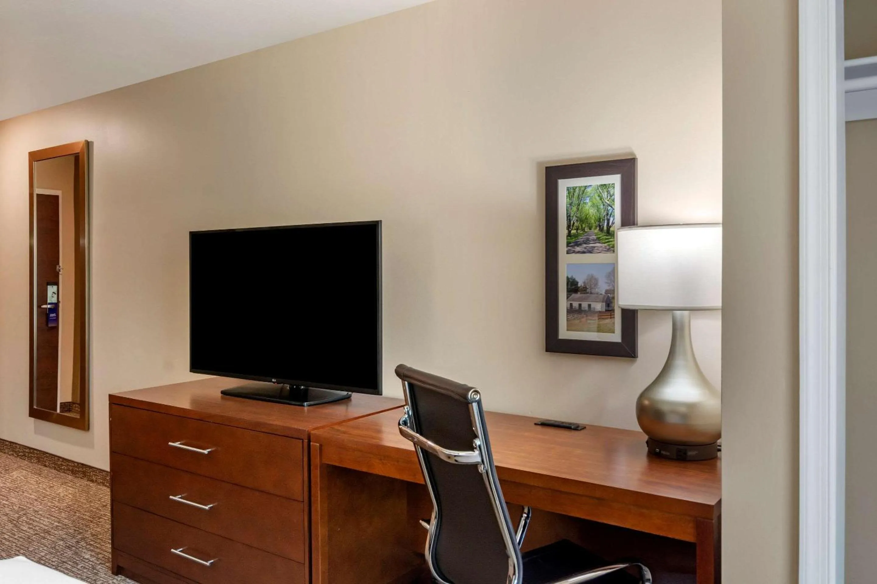 TV and multimedia in Comfort Inn & Suites Charlottesville Hollymead Town Center