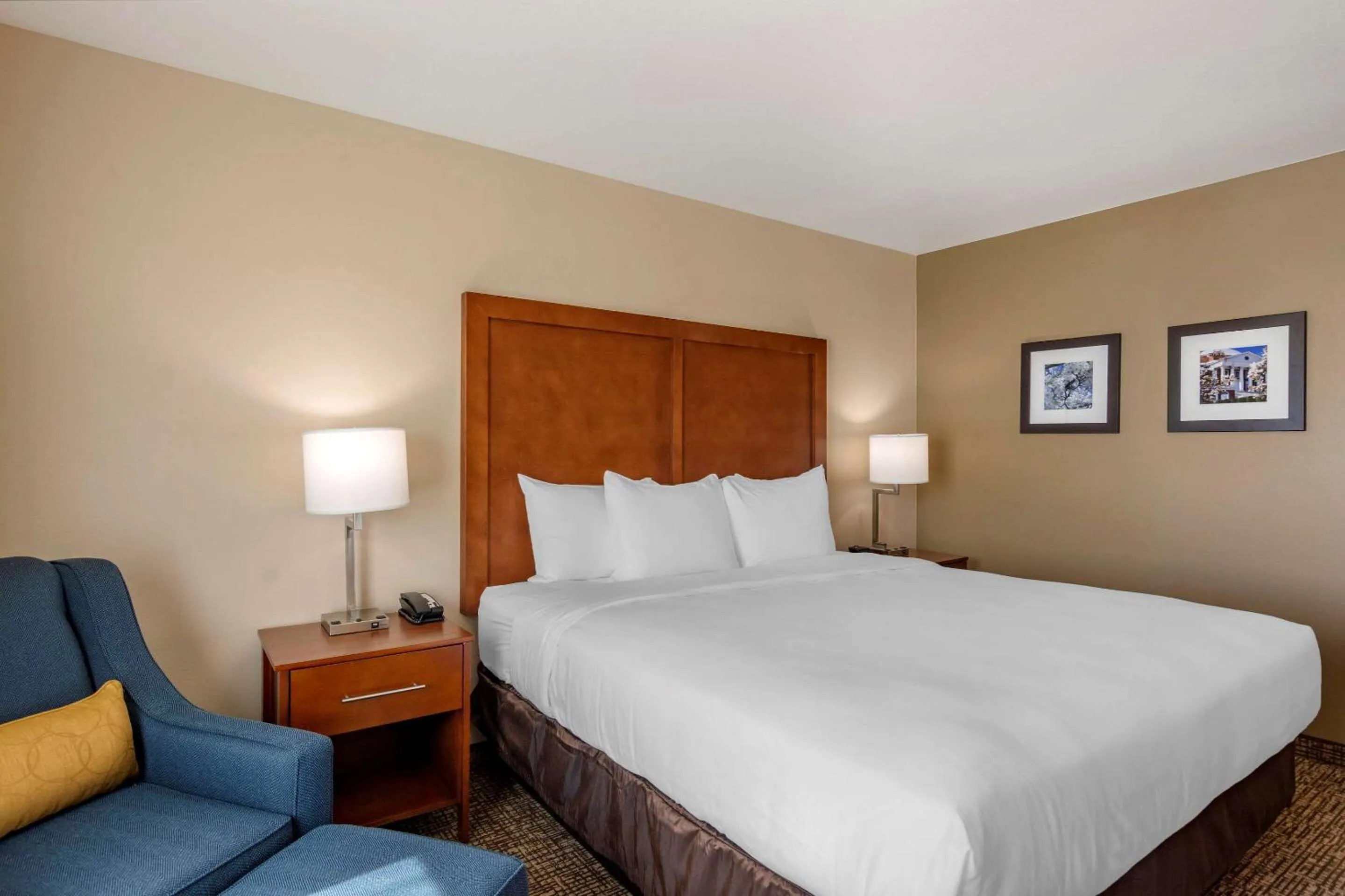 Bedroom, Bed in Comfort Inn & Suites Charlottesville Hollymead Town Center