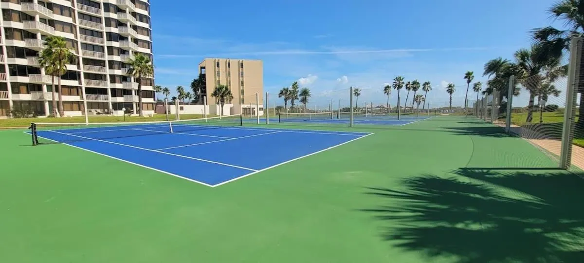 Sports in Saida Royale 9039