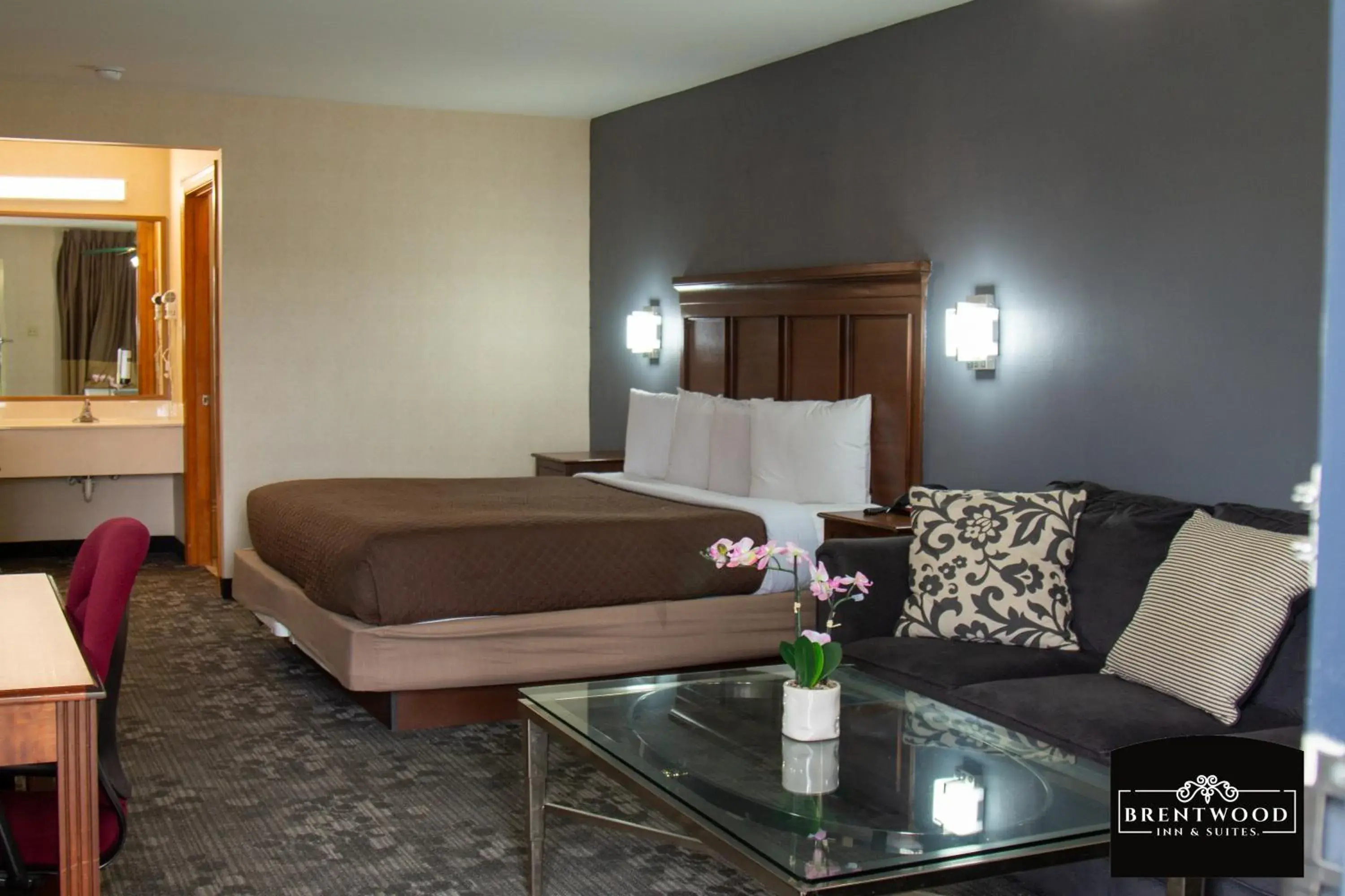 Deluxe Single Room - single occupancy in Brentwoodinn&suites Near richmond VA Deluxe Single Room - single occupancy in Brentwoodinn&suites Near richmond VA