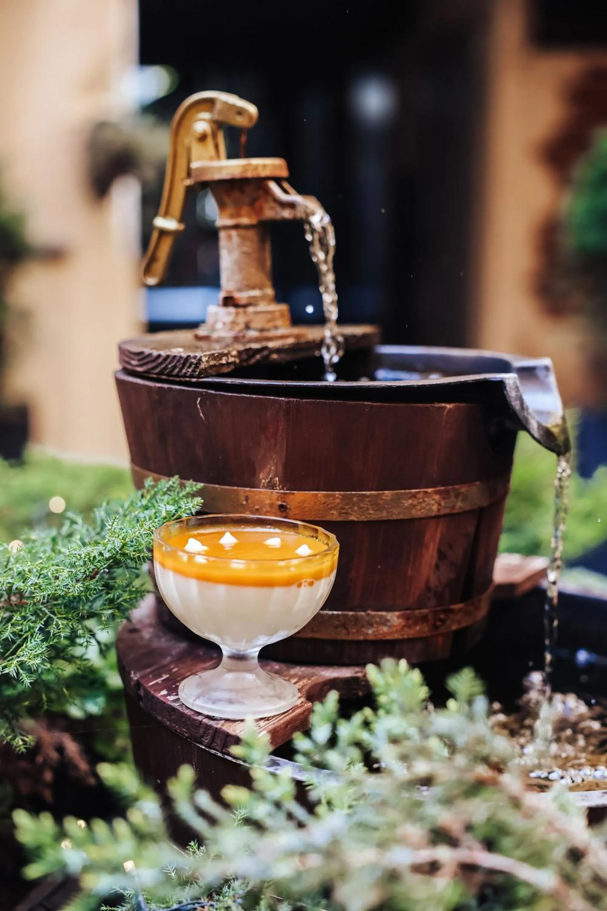 Garden in Hotel Diament Economy Gliwice