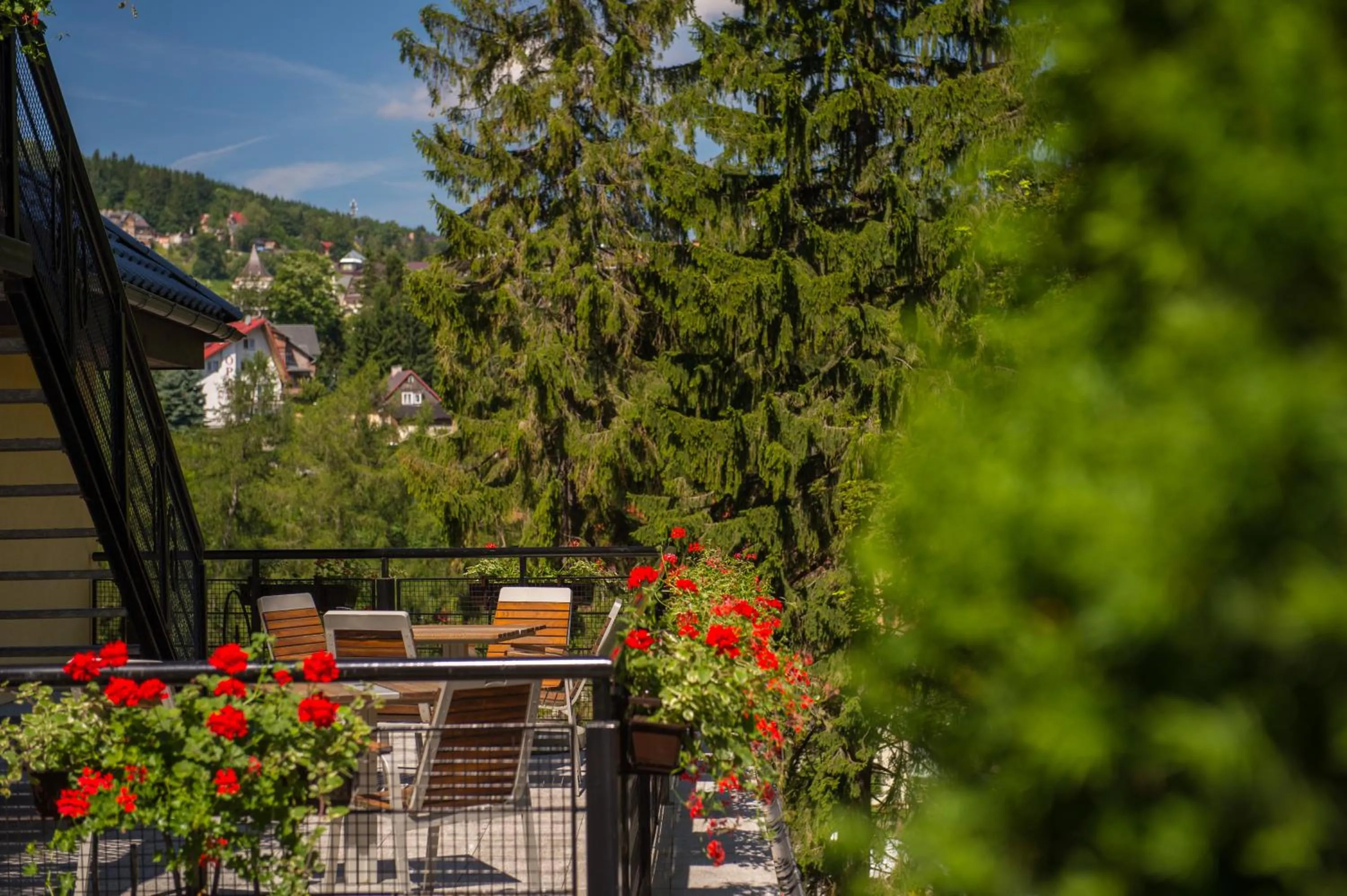 Balcony/Terrace in Hotel Vivaldi