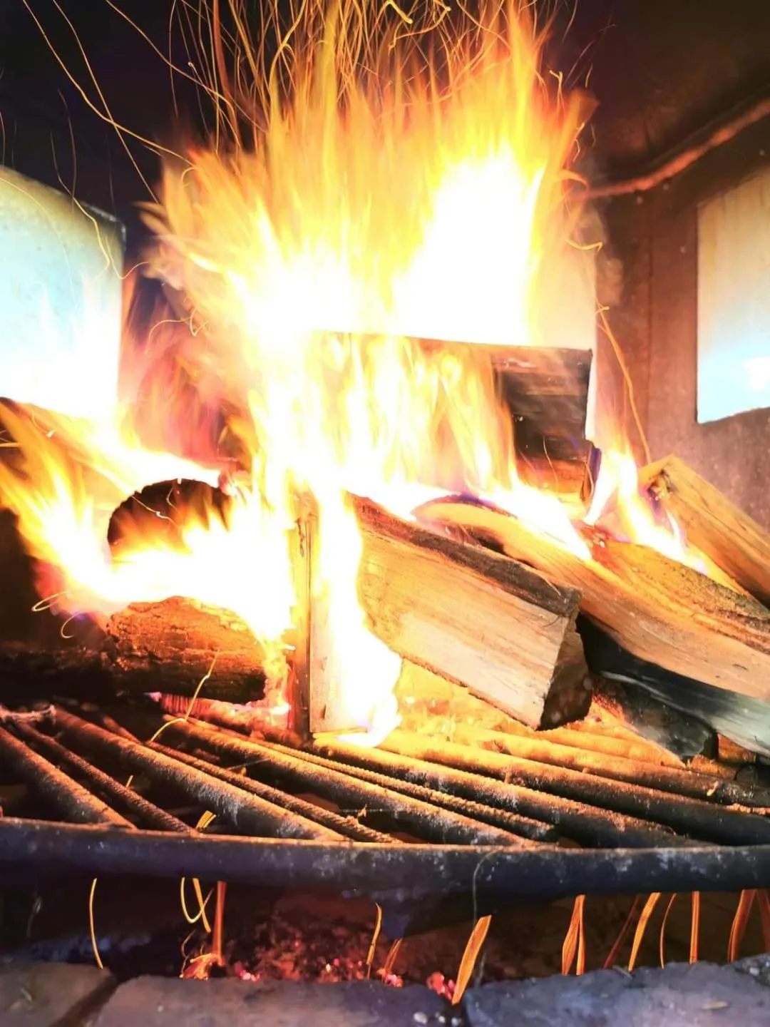 Restaurant/places to eat in Hotel Vivaldi