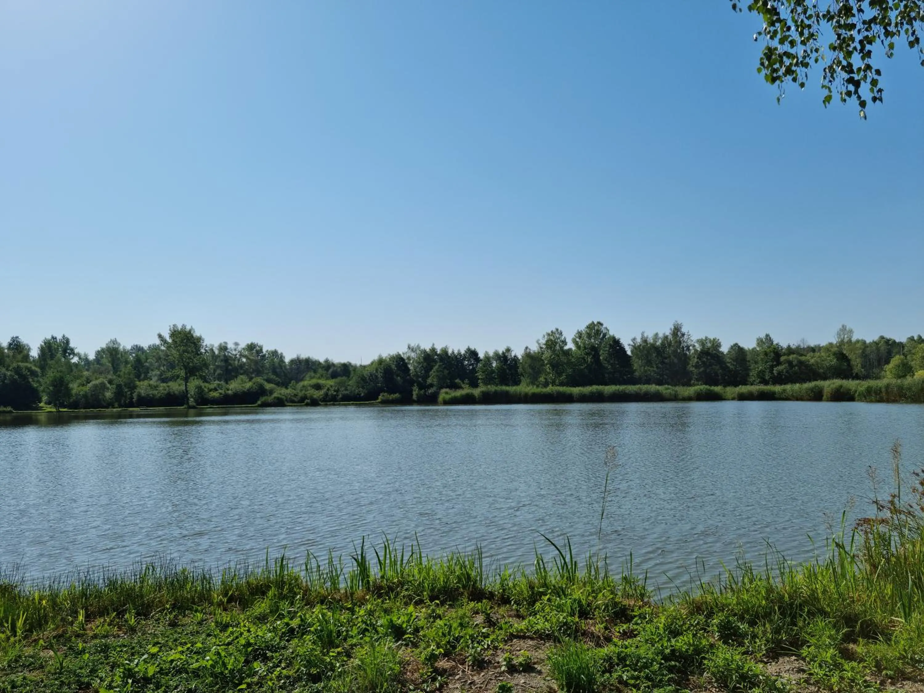 Natural landscape in Lake Park