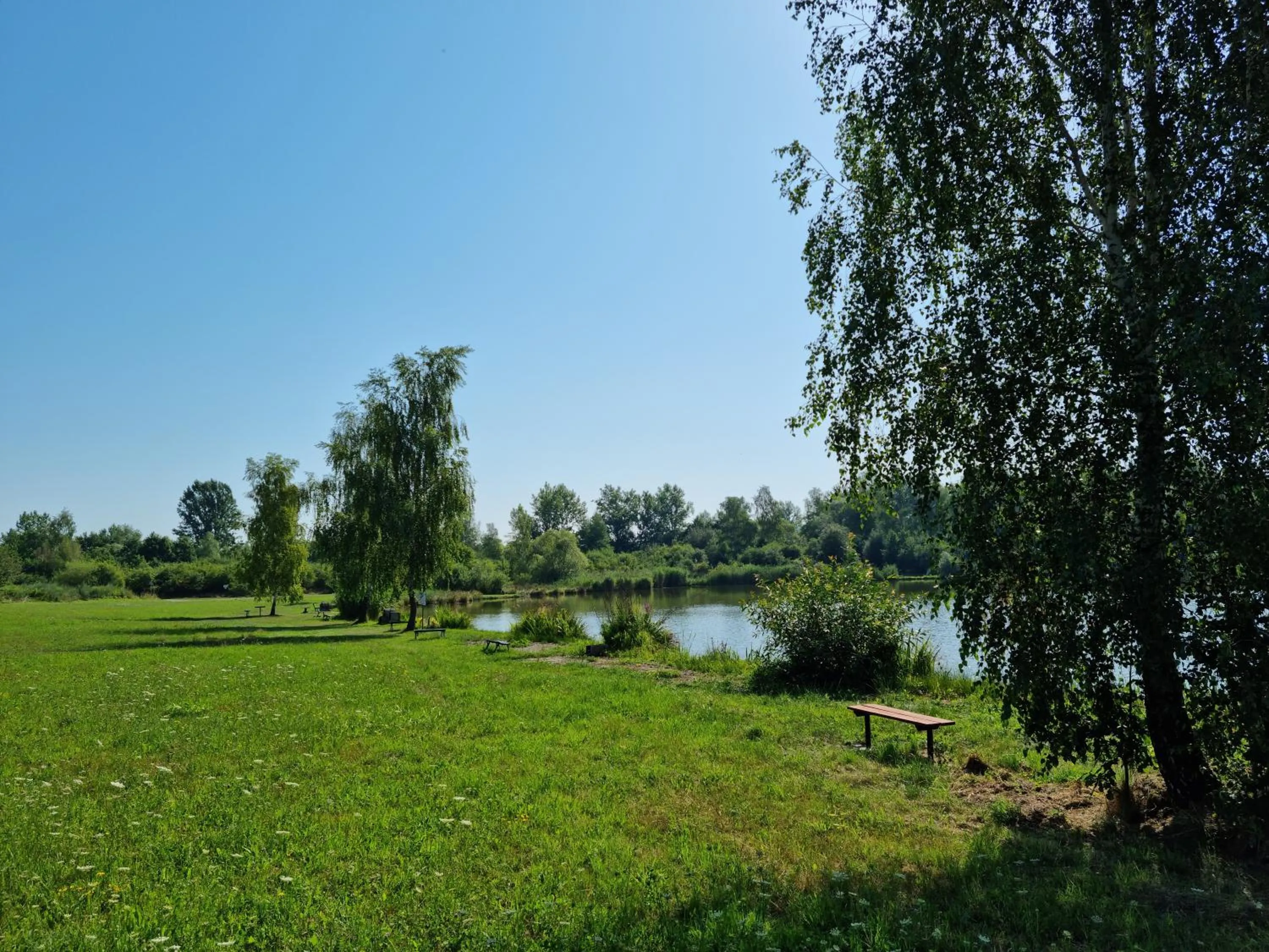 Natural landscape in Lake Park