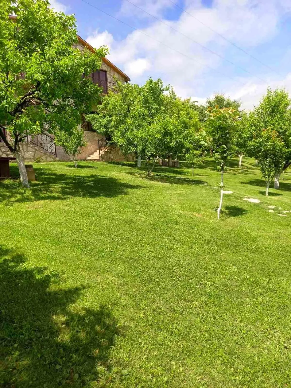 Spring in Guest House Ijevan's Garden