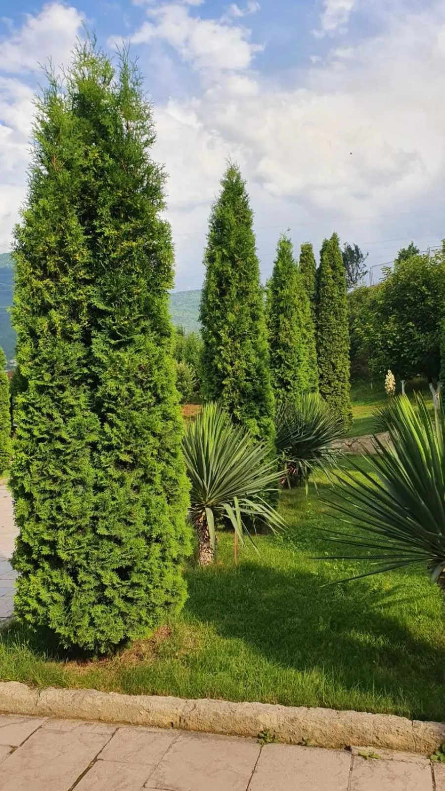 Spring in Guest House Ijevan's Garden