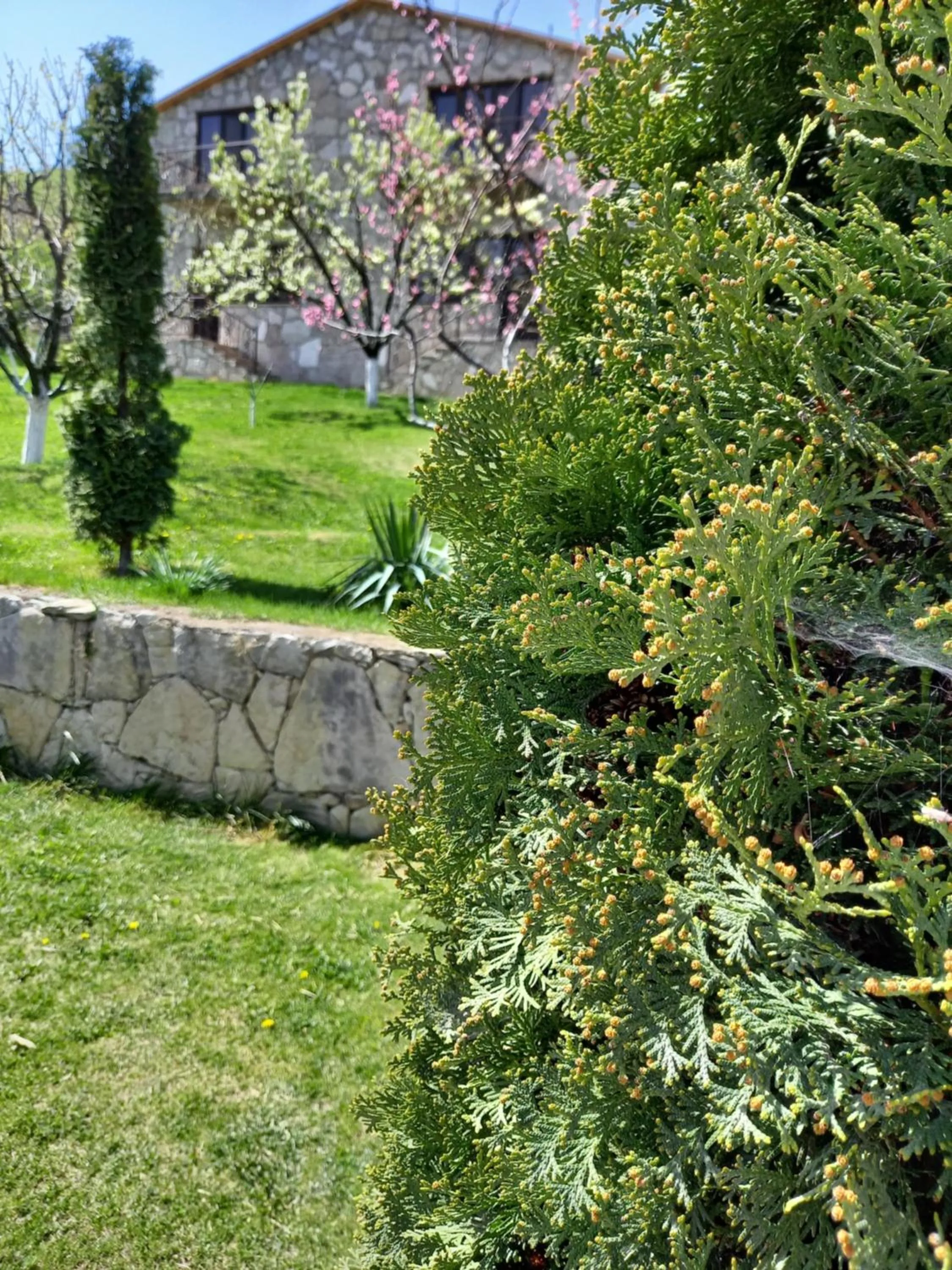 Property building in Guest House Ijevan's Garden